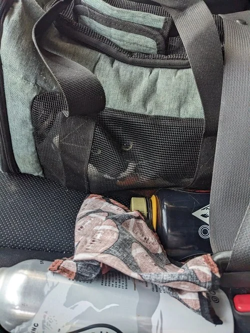 Cookies+car.jpg