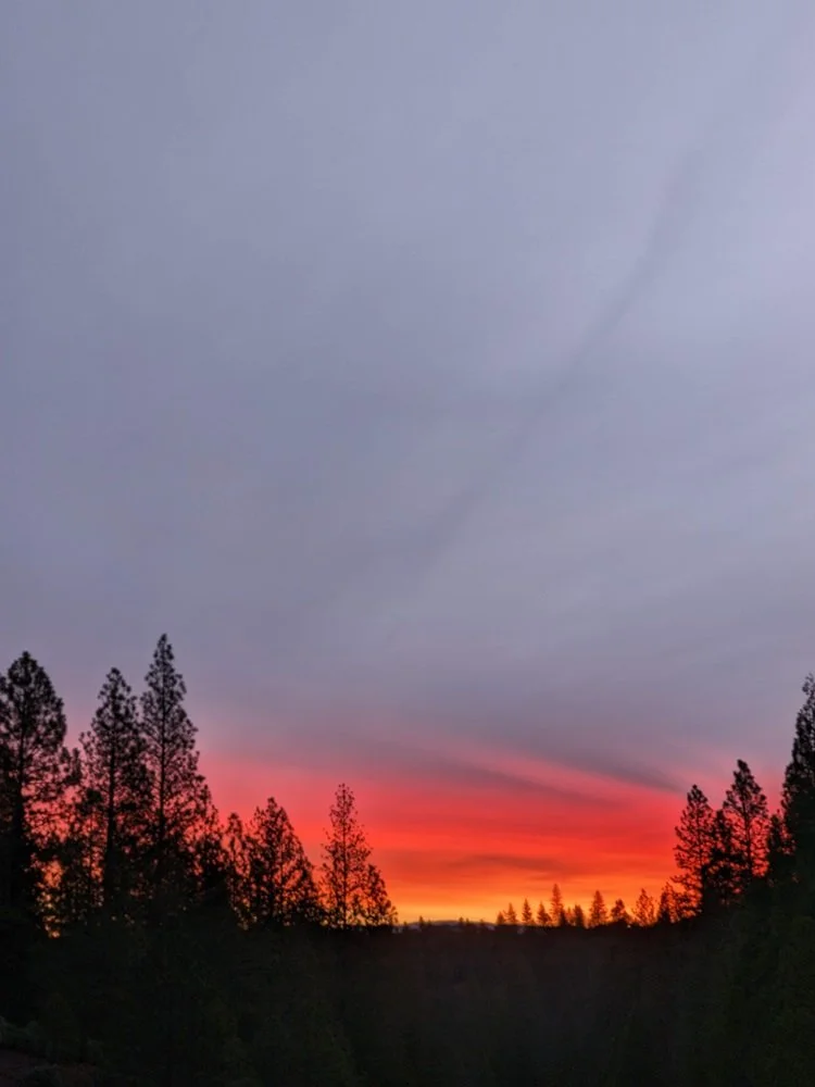 sunrise2.jpg