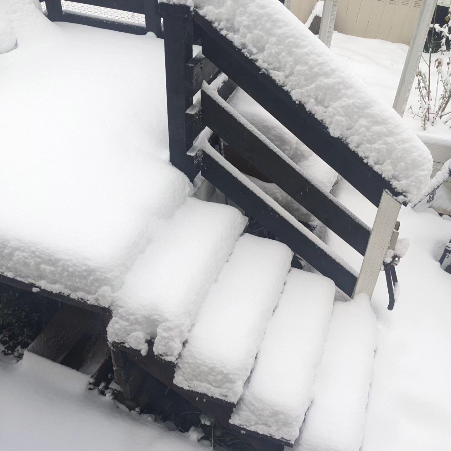 April Snowstorm 🌨️ 

When Mother Nature calls for stillness, I listen. Accepting the limitation of what I can move forward allows me to expand my mind in a state of rest and meditation. 

It feels like the starting gate. We have prepared as best we 