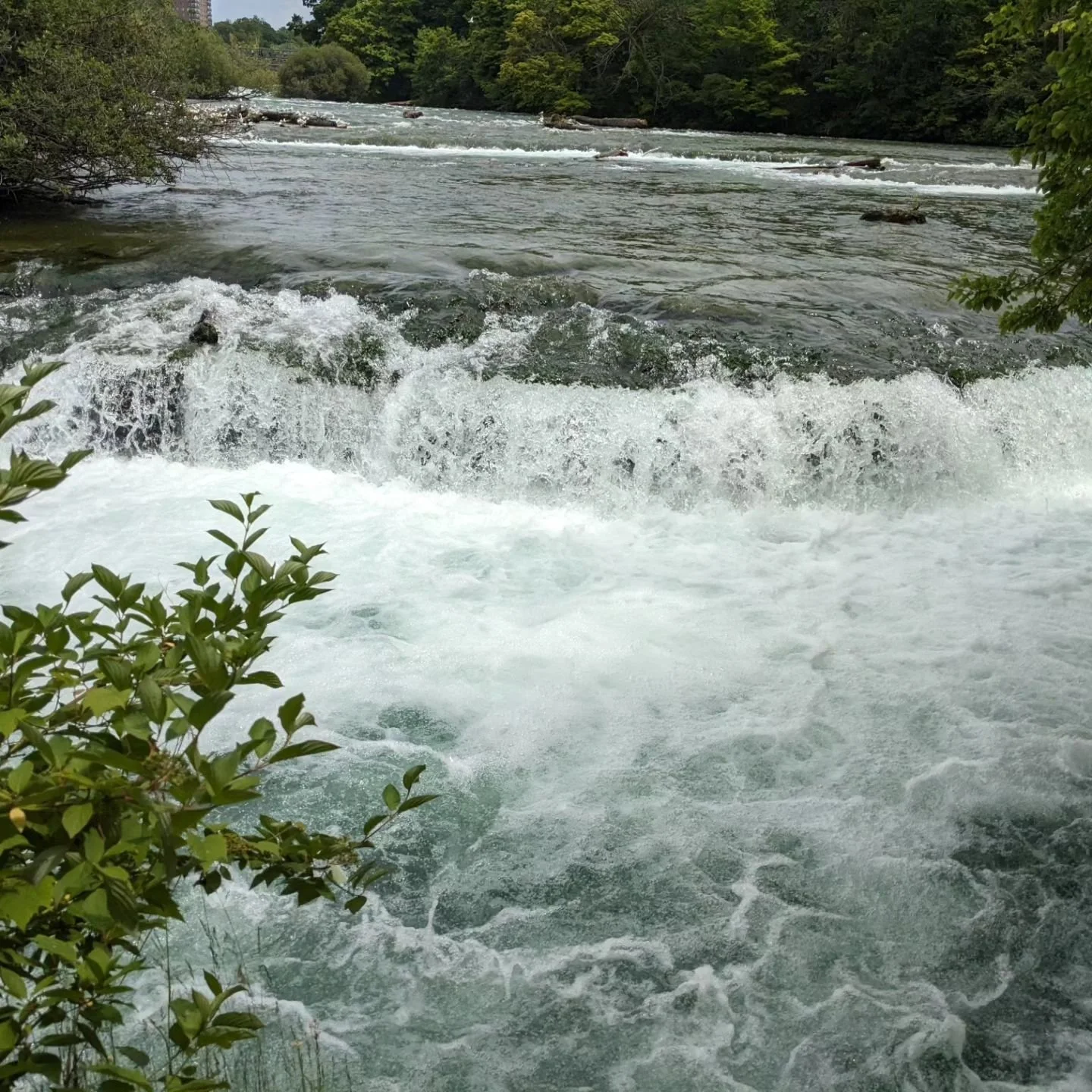 This quieter part of the river was my favorite spot ☺️