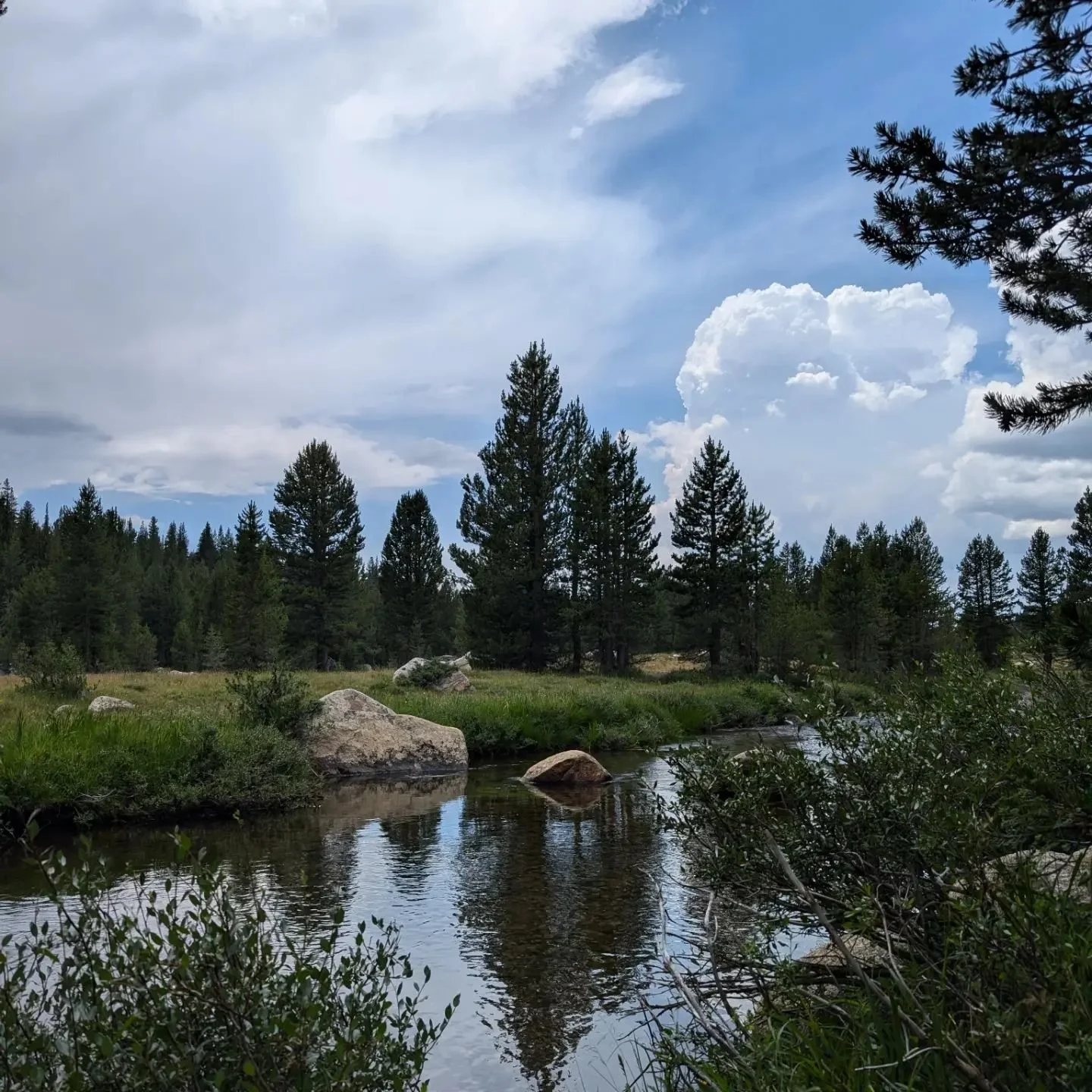 Hello 👋 Tuolumne Meadows does not disappoint. A spiritual experience to the high country and a great revitalization. 🥰
#andatheadventurer  #yosemitenationalpark  #liveyouradventure