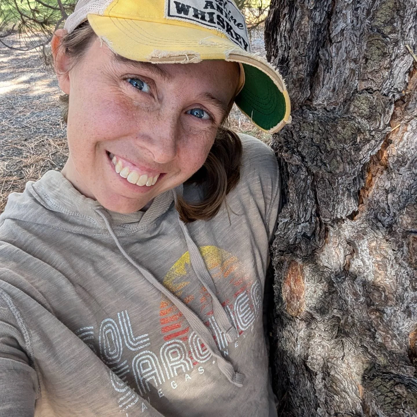 It was a great trip from central CA to Seattle WA to see Zoey for her birthday. I saw a gorgeous sunrise coming down into the central valley. I stopped at the rest stop in Weed, CA. It was beautiful weather and in the mid-sixties until I reached Oreg