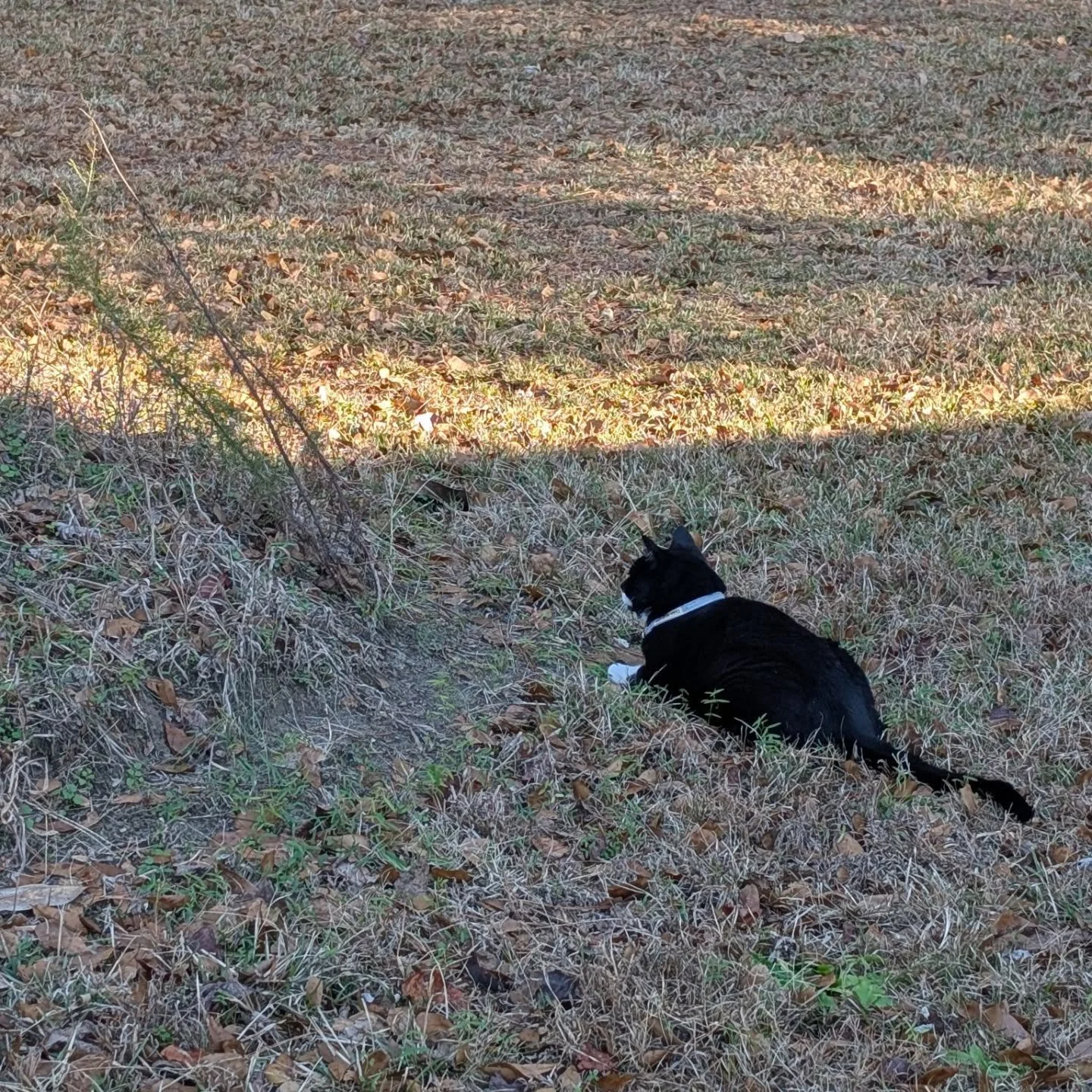 It's easy to get caught up in the day to day. Every single day is a miracle. Live it. Breathe. Gratitude makes what you have enough. 💛