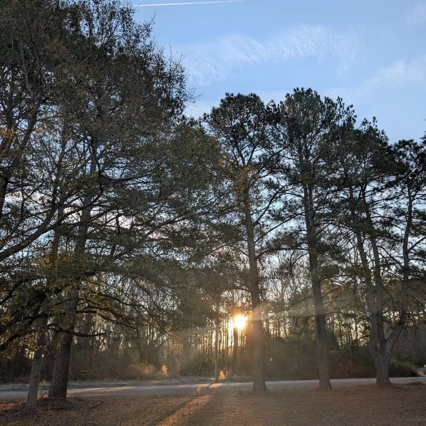 Not everyday is good, but there is good in everyday. Sending you love and compassion. 💛