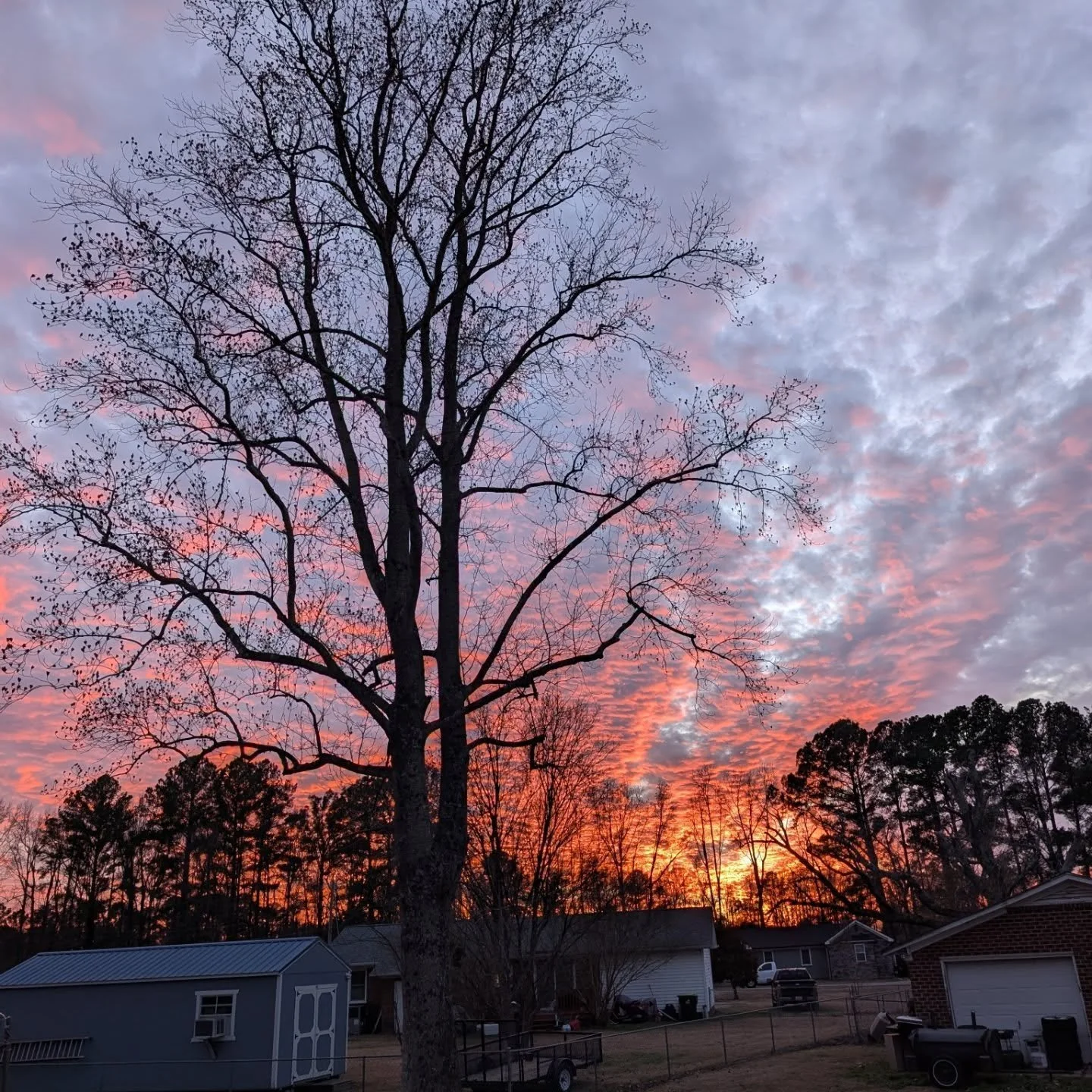 Happy Winter Solstice. ❄️ Blessings on the longest night of the year. As the days grow longer, may you open your heart to who you are. During this winter season, I continue walking my path. So may it be. 💛