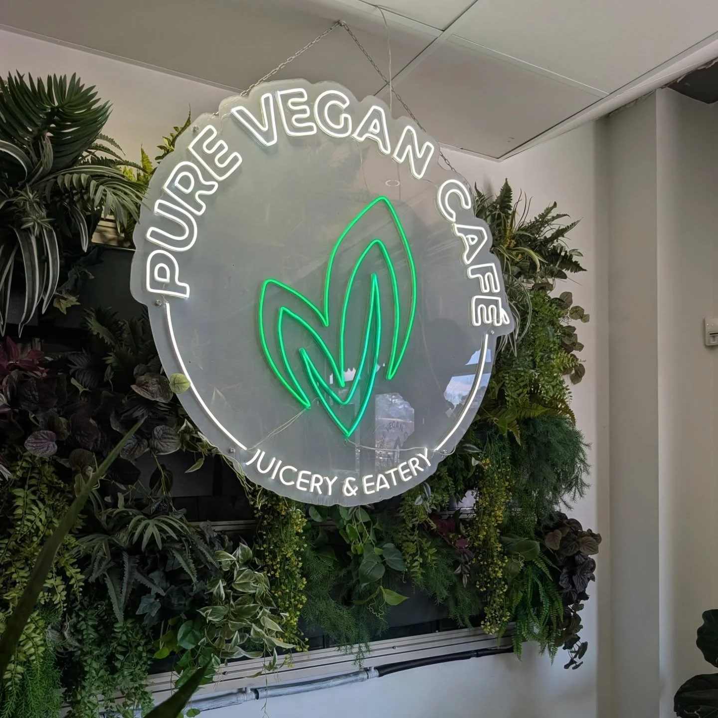 Discovered an incredible vegan spot in Raleigh!! The new chick'n club is a flavor explosion, totally obsessed. The staff was super friendly and the vibe was cozy. Highly recommend!! 😍