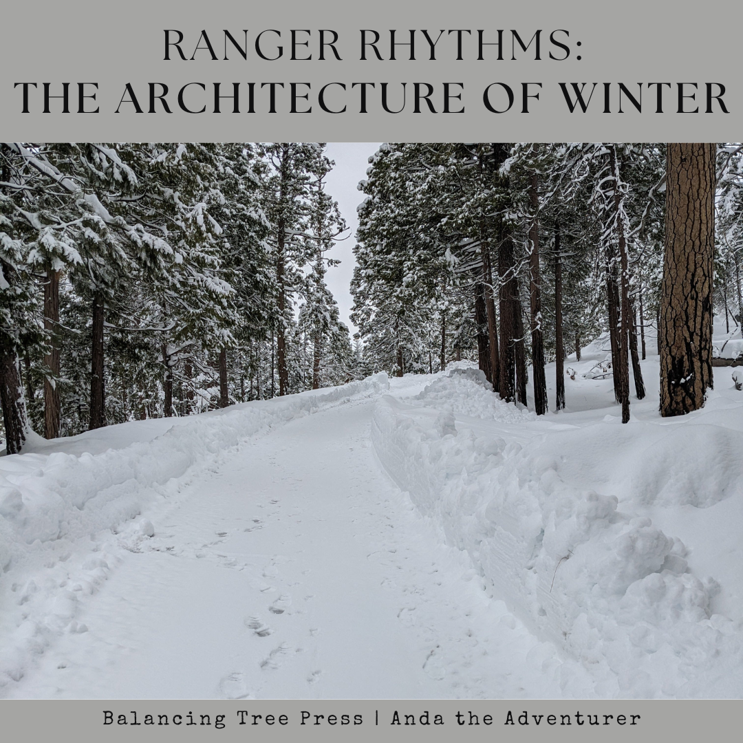 Ranger Rhythms: The Architecture of Winter