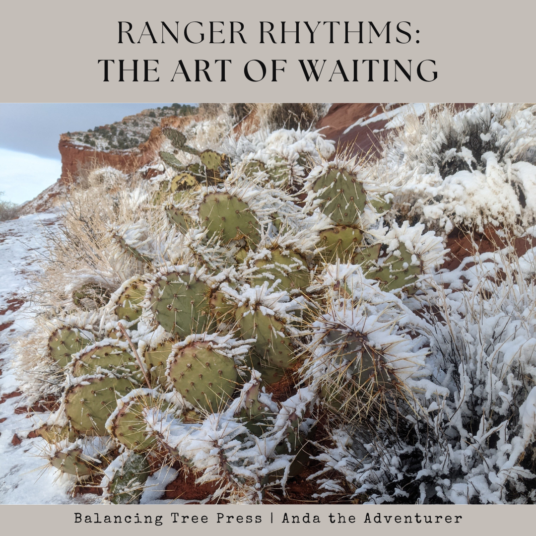 Ranger Rhythms: The Art of Waiting