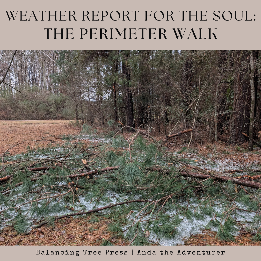 Weather Report: The Perimeter Walk