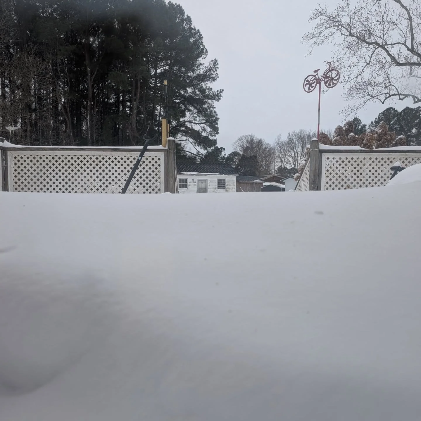 ​A foot of snow and a total standstill. ❄️🏔️

​From yesterday afternoon through this morning, the "Bomb Cyclone" completely transformed the landscape. My back porch is buried&mdash;the chairs have all but vanished and the table is just a w