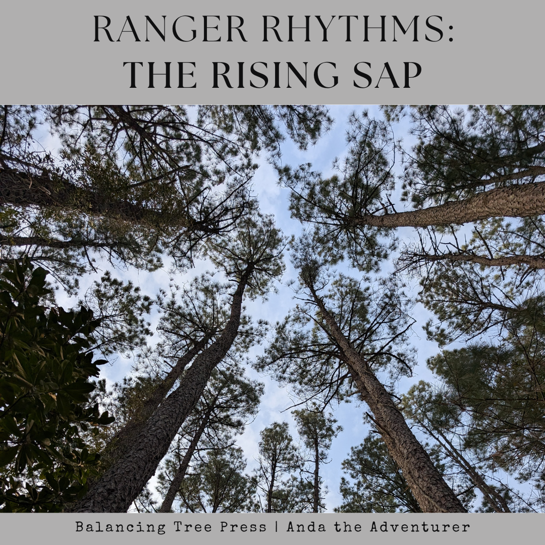 Ranger Rhythm: The Rising Sap - The  Rhythm of Discernment