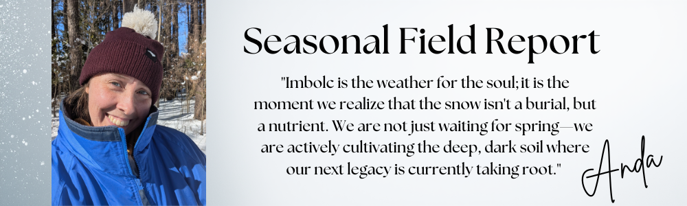 Seasonal Field Report Imbolc.png