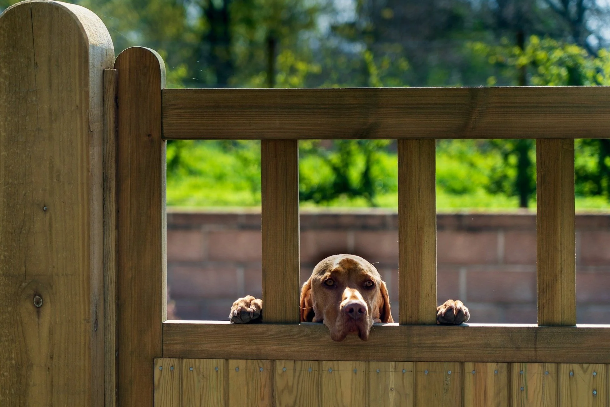 Coping Strategies - The Detective