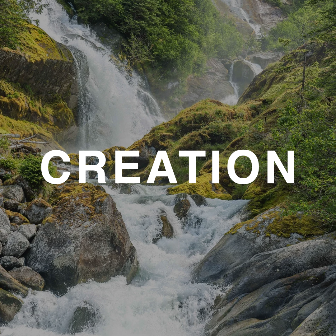 2026 Creation Button.png