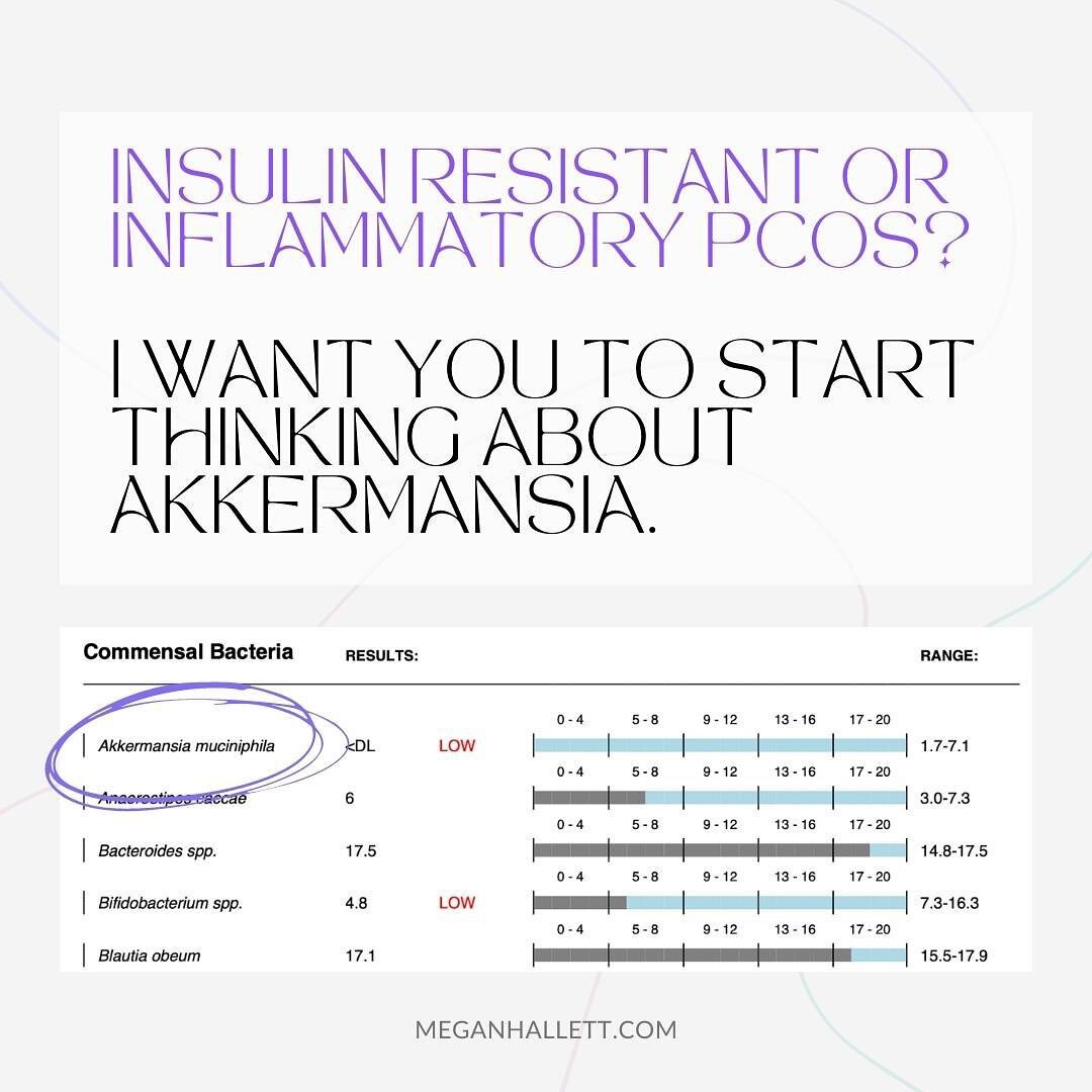 We know the gut X PCOS link is HUGE, and the bacteria that live and thrive in your gut is only one piece of it. The reason why I believe it is SO important to give Akkermansia Muciniphila the attention it deserves, is because it really is a multi tal