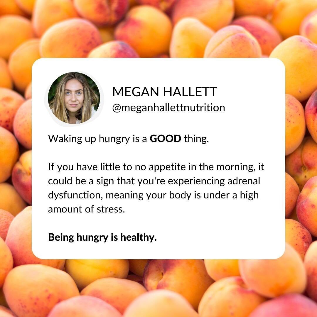 YEP. You read that right. Having no appetite first thing is a great sign that something is up. Your stress hormones are likely suppressing healthy and essential messages. 

Does this sound like you? Let&rsquo;s chat. Book your free 15-minute introduc