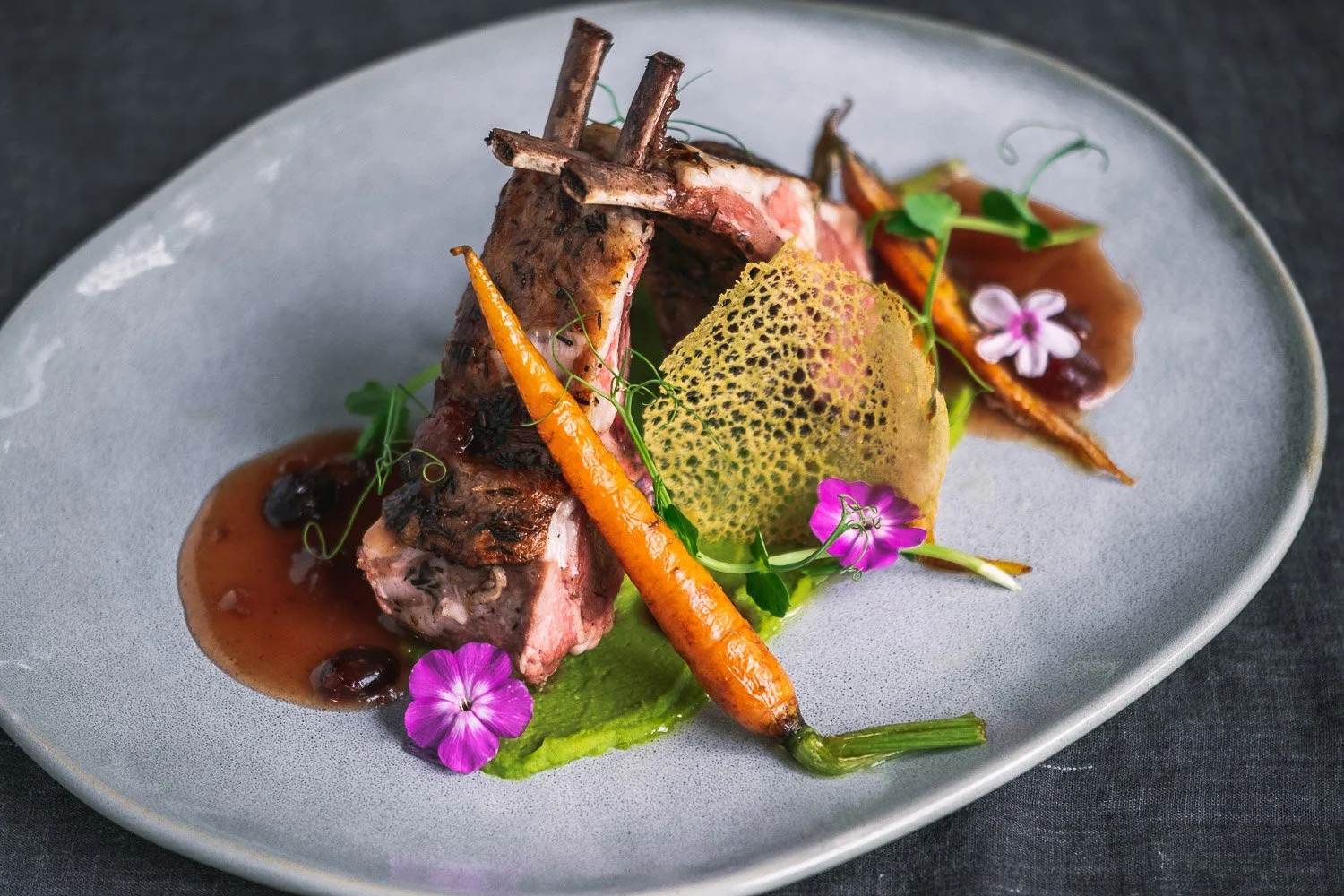 Darilni bon Sunrose 7 — Sunrose 7