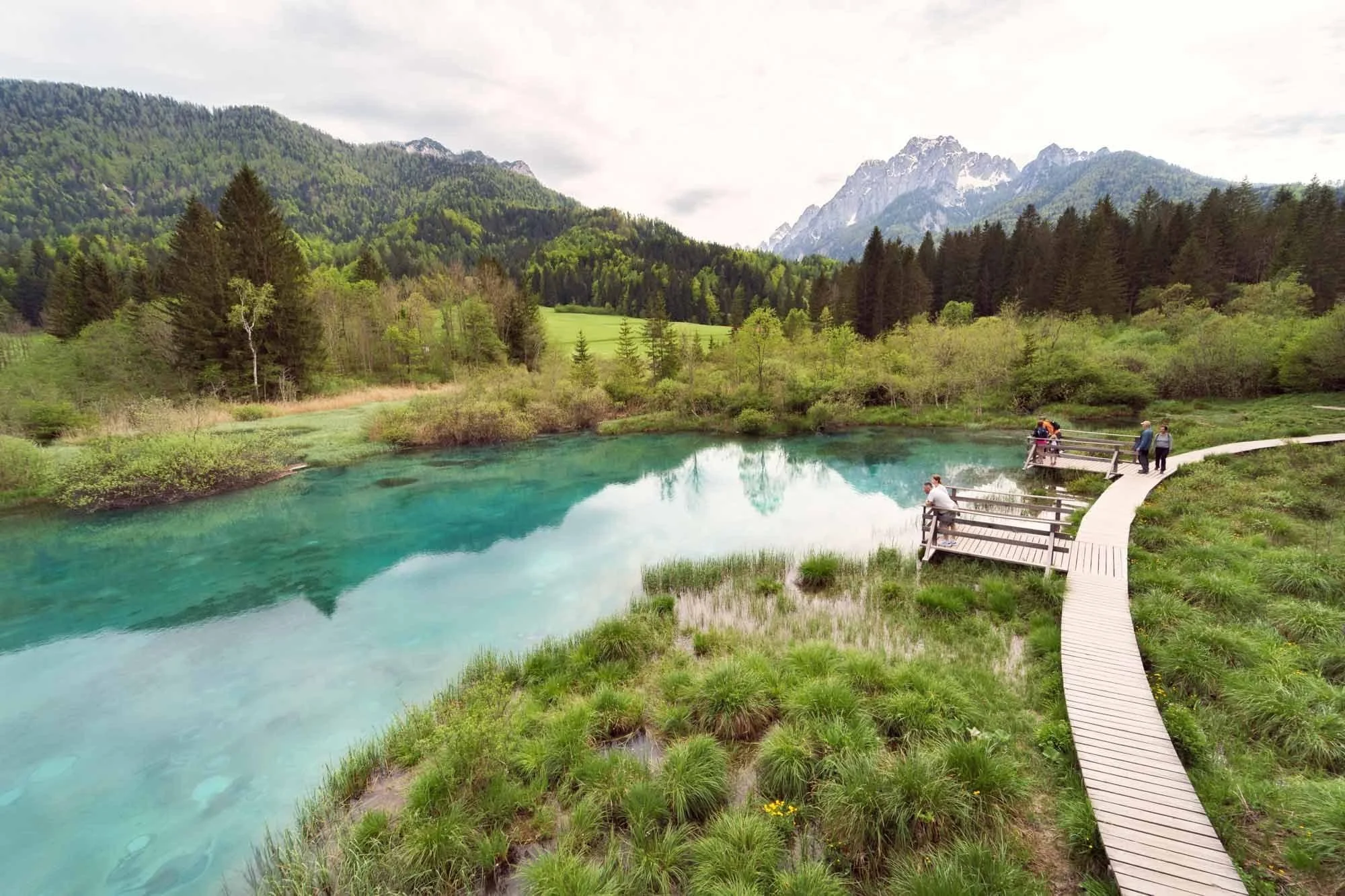 Around-Julian-Alps-Zelenci-Spring.jpg