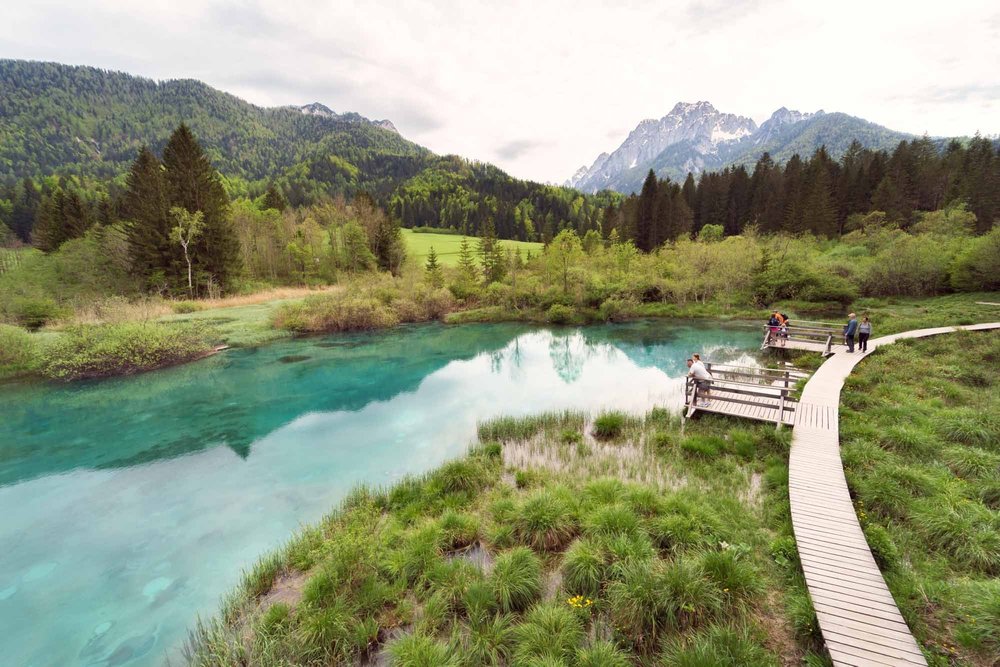 Zelenci spring in Kranjska Gora (Copy) (Copy)