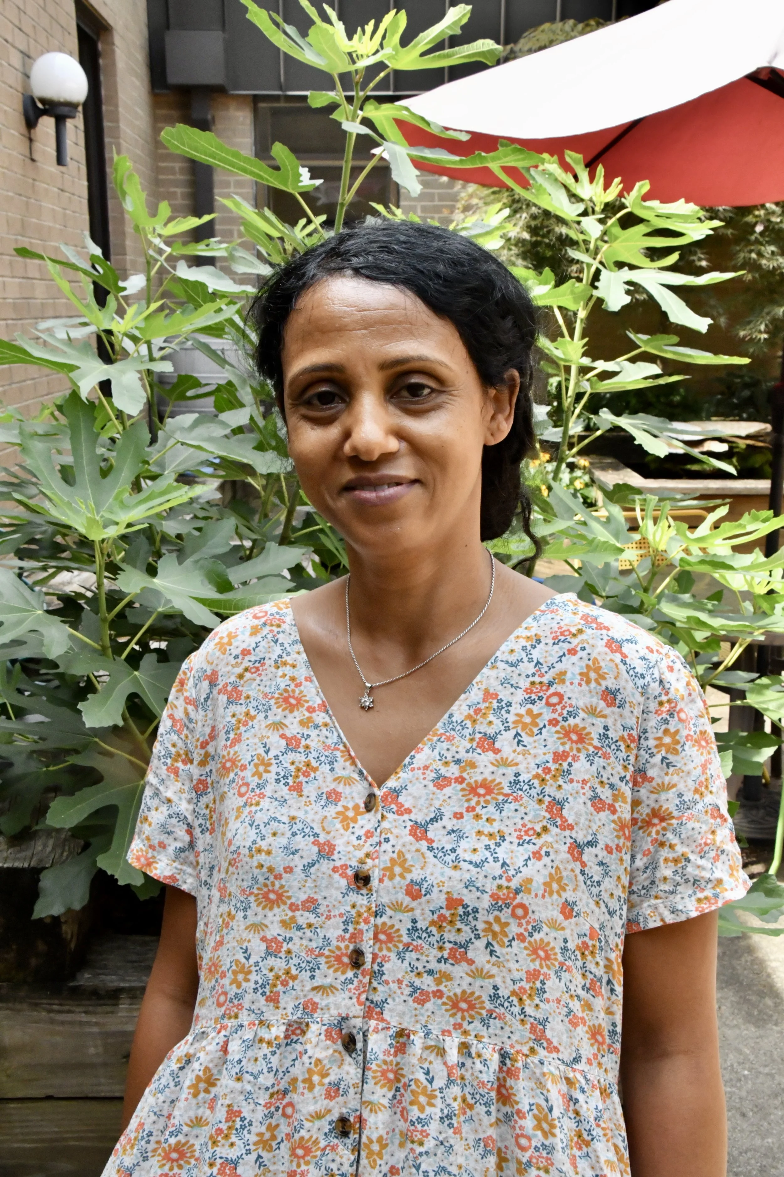Menbi Hailu