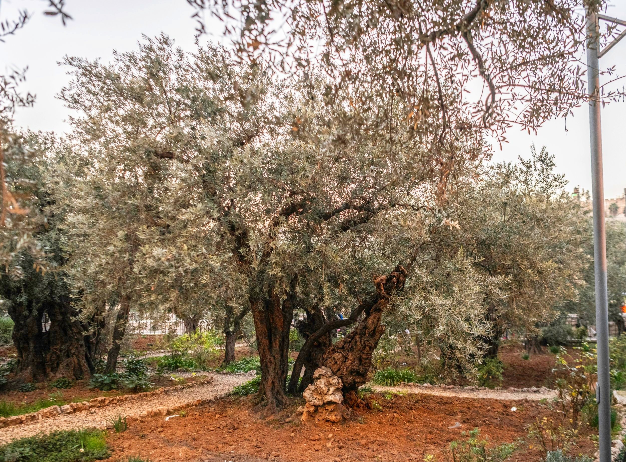 _DSC7650-Editar+copia.jpg