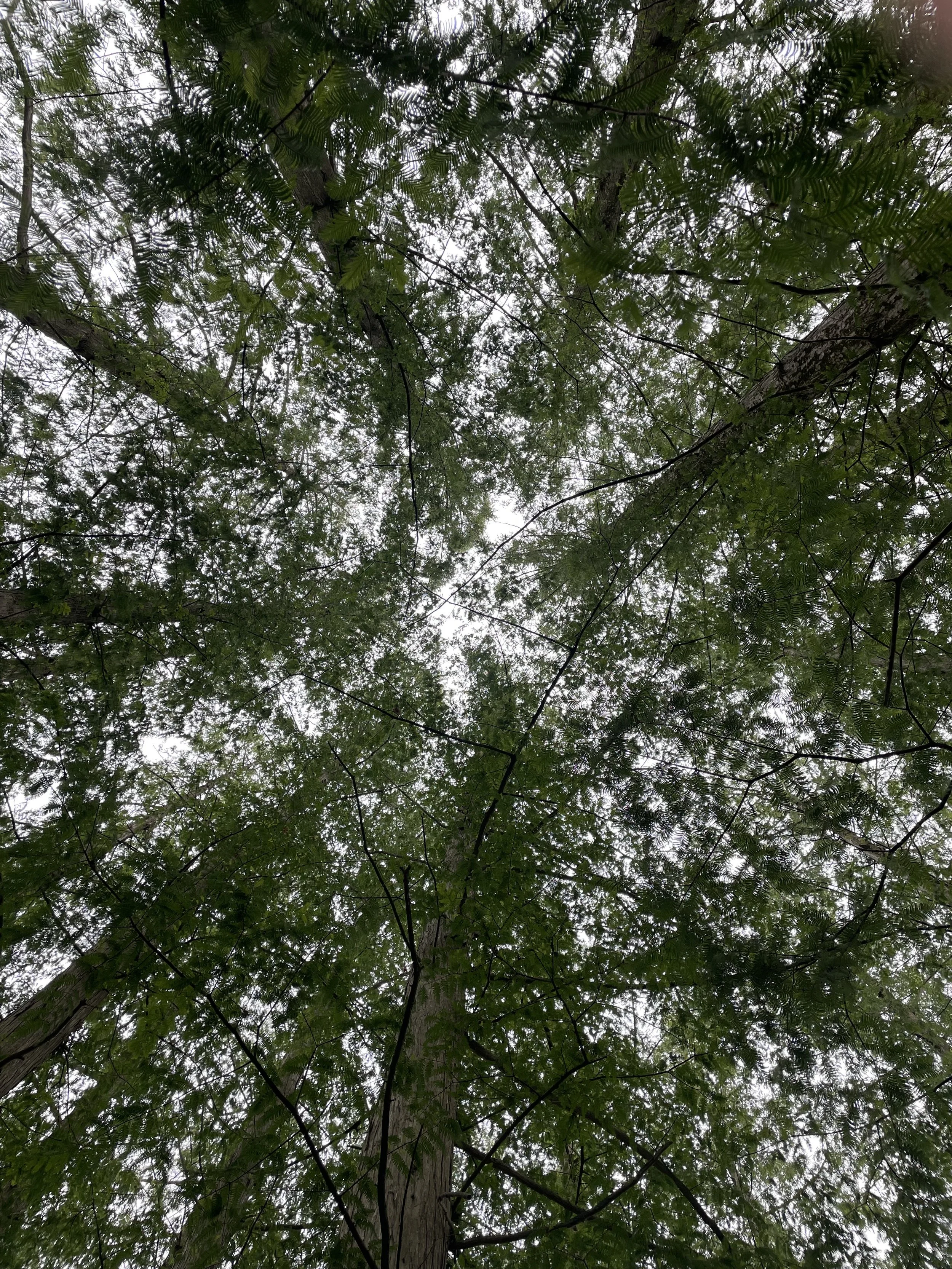 A Gentle Holding Space for Helpers