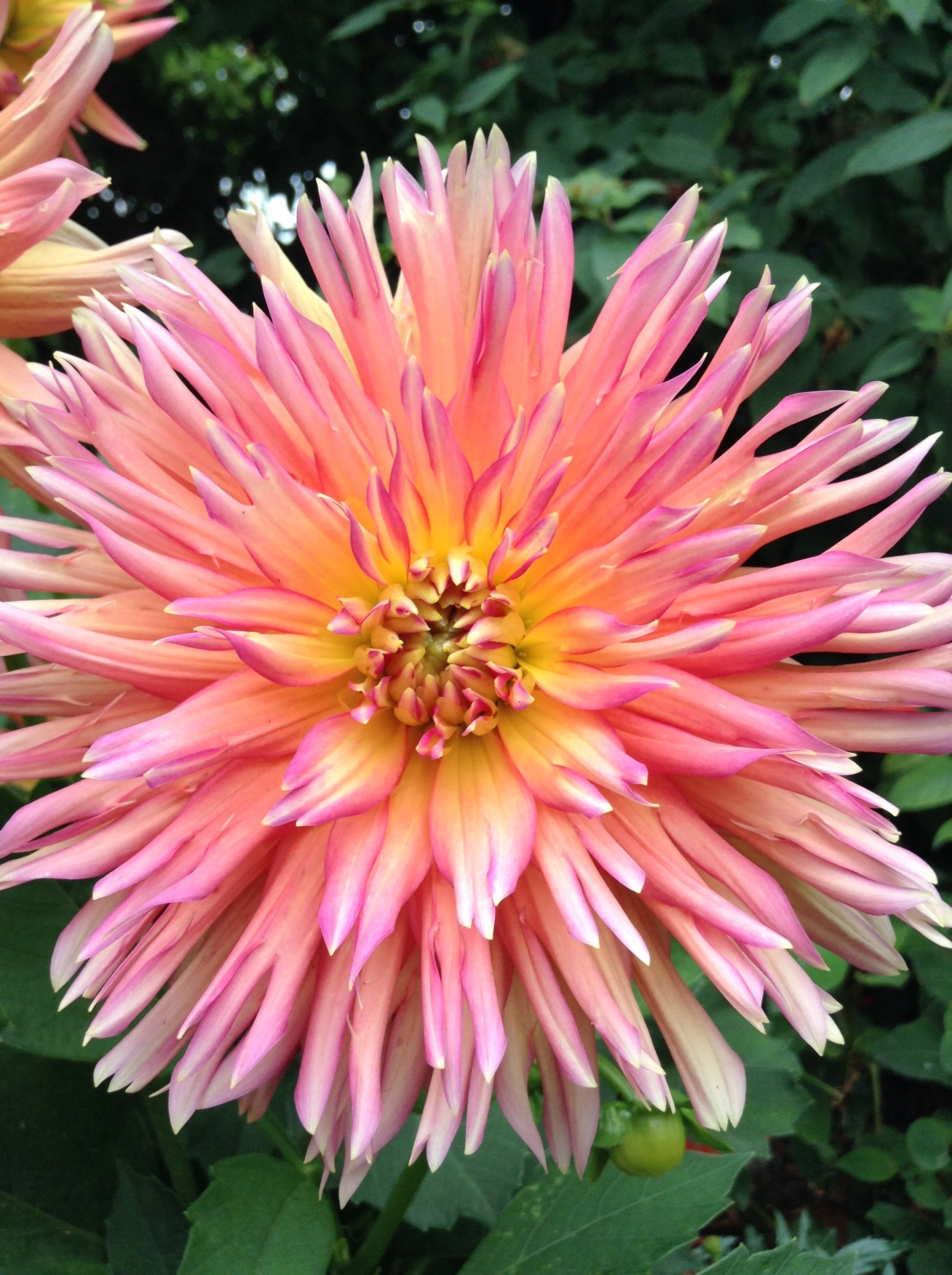 Open Spaces Group - Reclaiming Your Playful Self