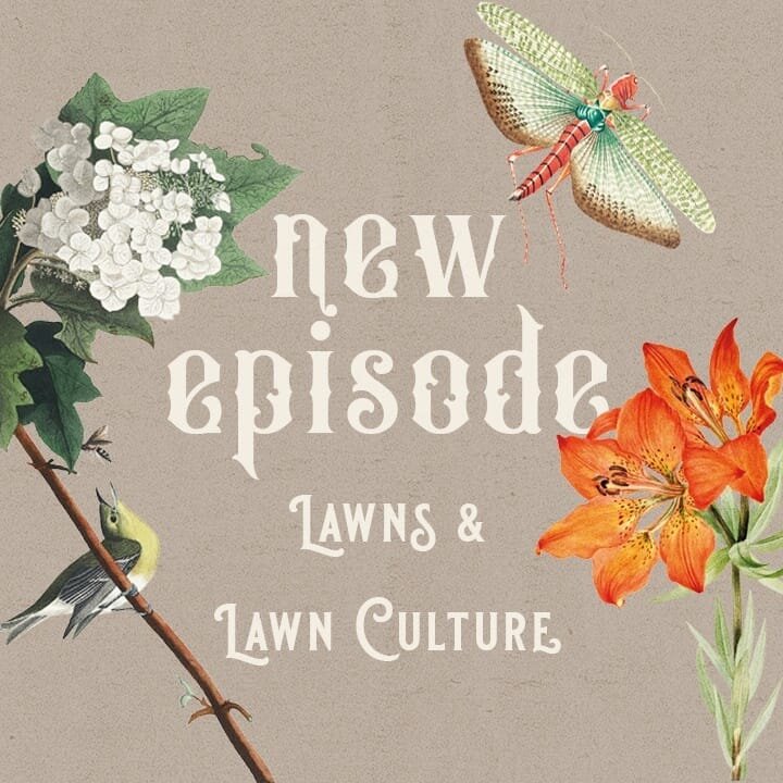 New episode!! Out now wherever you listen (or on our website!) We talk history, impact, and solutions to our American problem of lawns and lawn culture. Topics include golf, lawn bowling, HOAs, xeriscaping, and more!
.
1- why have this, when you can 