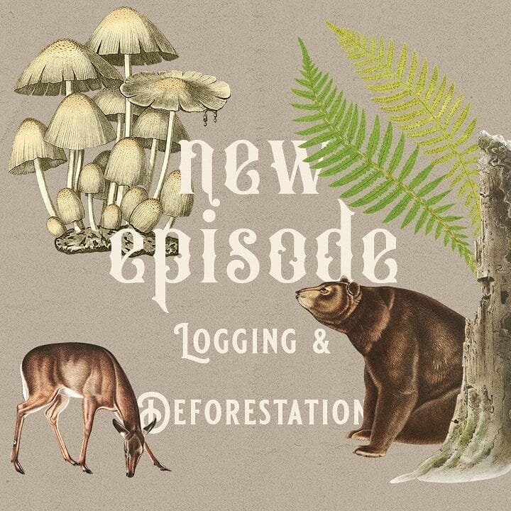 New episode live now! (I meant to post this yesterday but tbh we were both living our best lives without internet in the river all day) We chat heartbreaking facts and hopeful solutions to logging and deforestation, one of the biggest contributors to