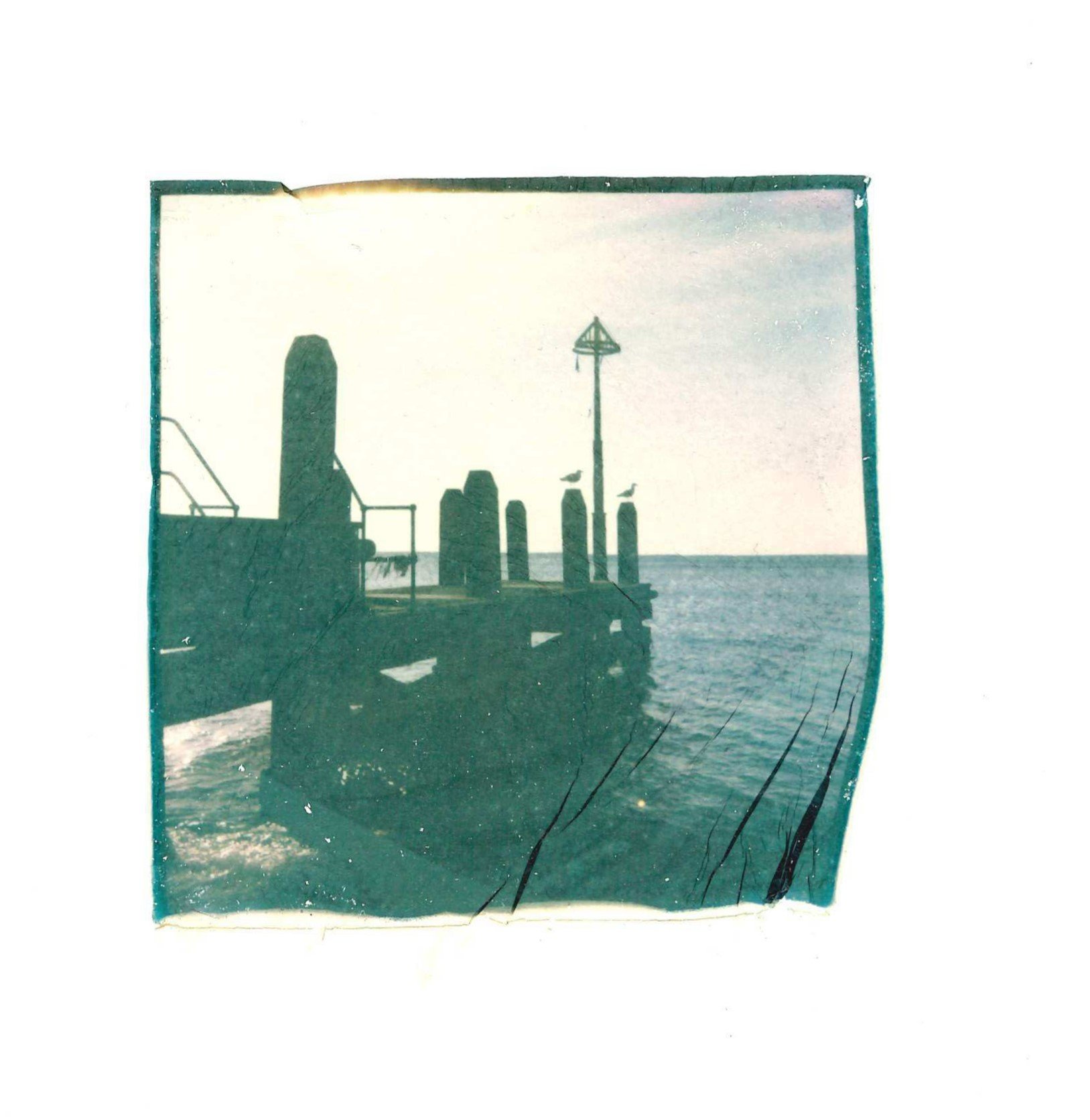jettypolaroid3.jpg
