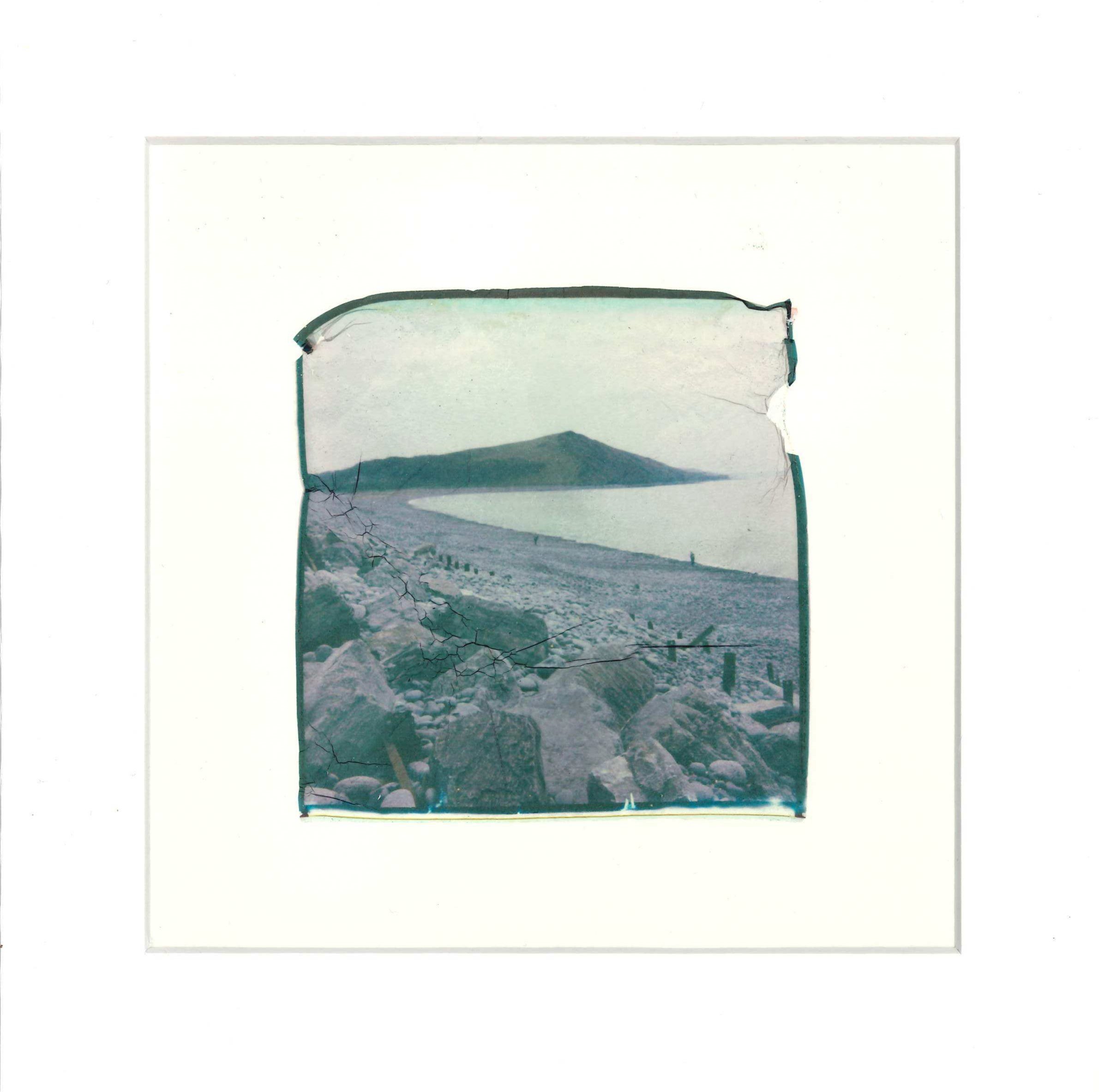alltwenpolaroid.jpg