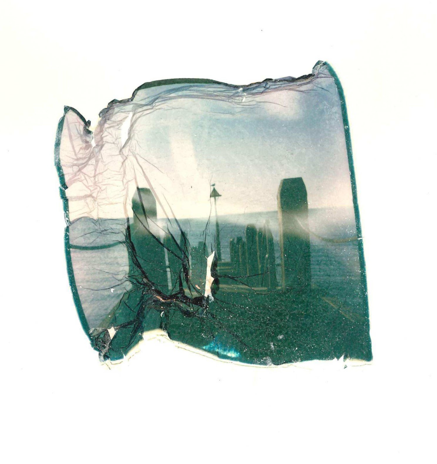 jettypolaroid4.jpg