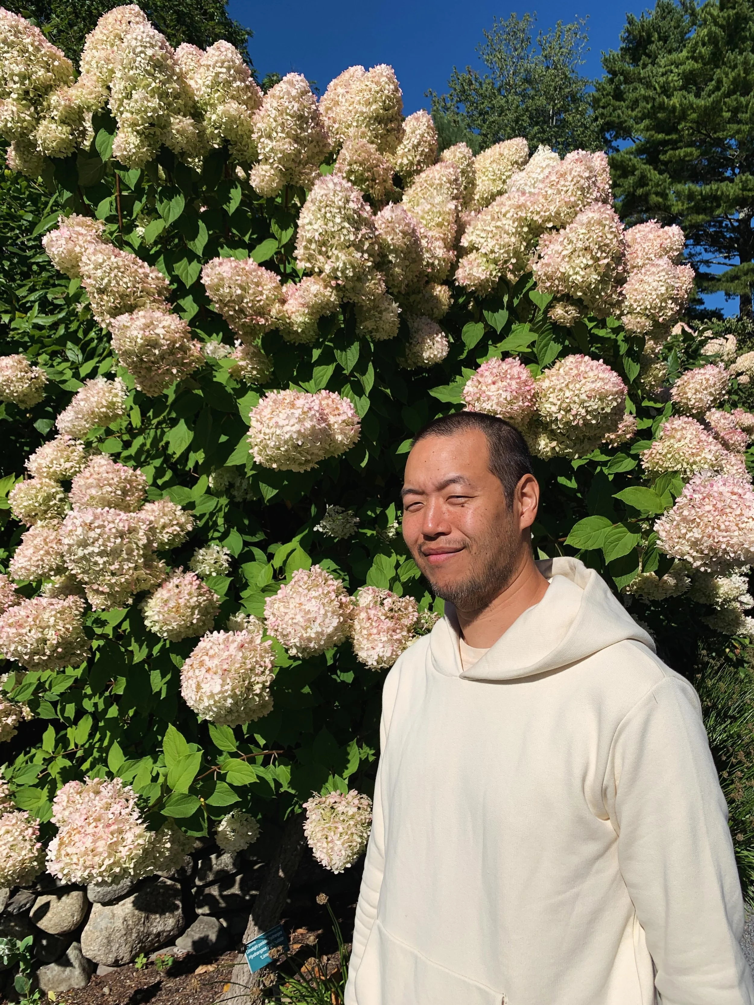 Happy Solar Return to this flower of a human!!! @dc.dreams may the year ahead bloom with beauty, joy, and extravagance of experience. A year as giant and playfully Seussian as these hydrangeas :))))) Lysm 🤍🪽
