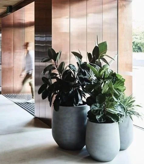 An image of two potted green plants in a business entrance.