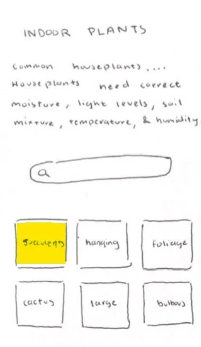 Plant encyclopedia: initial design utilized categories to filter users into the plants they wanted to find.