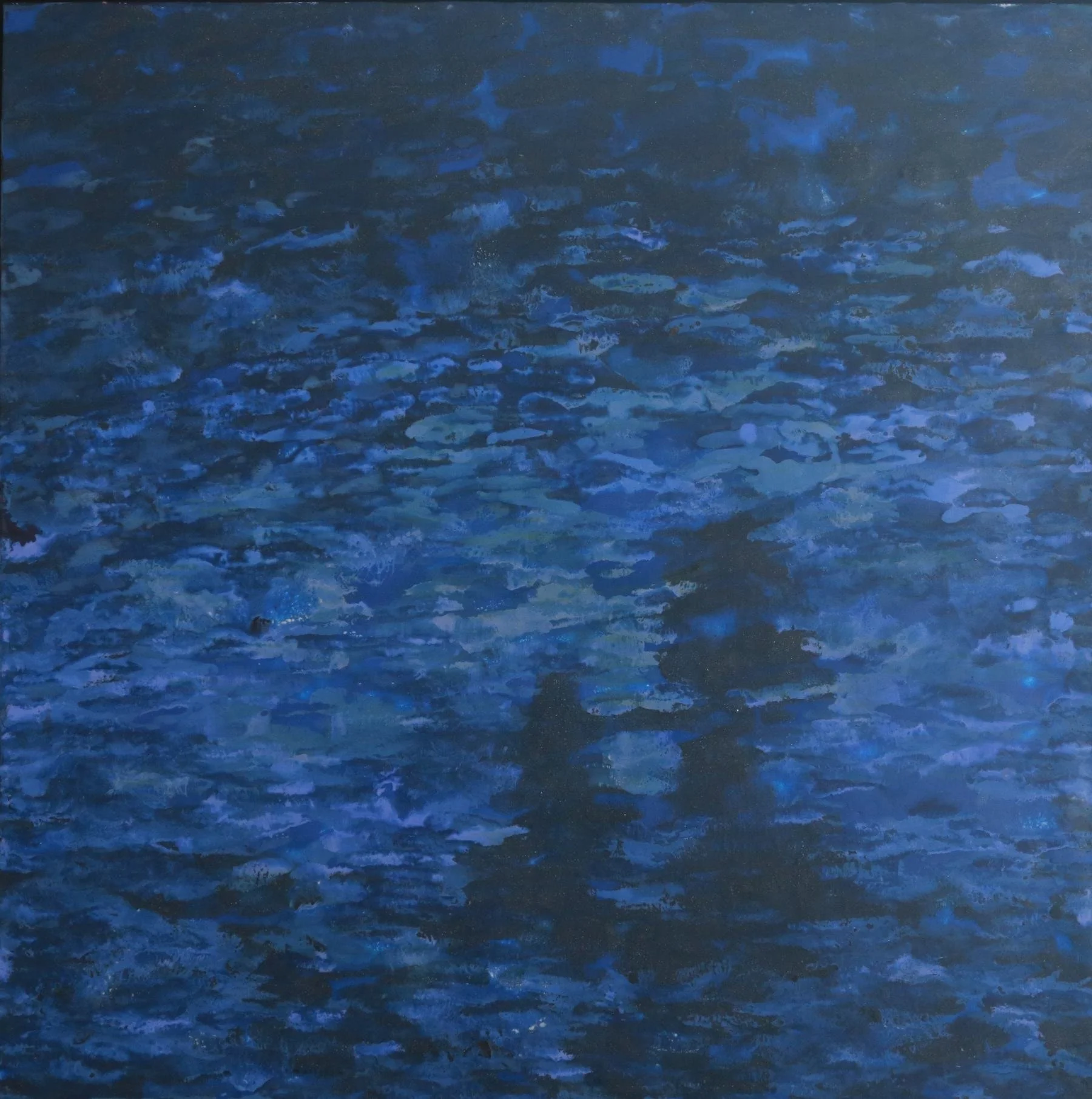 Midnight Swim.reduced.jpg