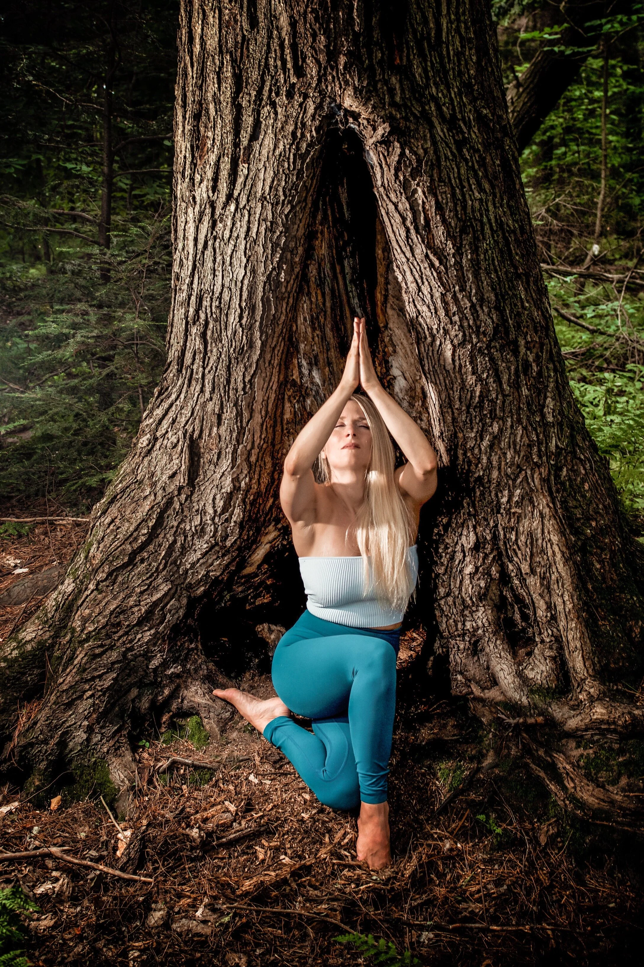 méditation d'ancrage avec Carine A-Hamid