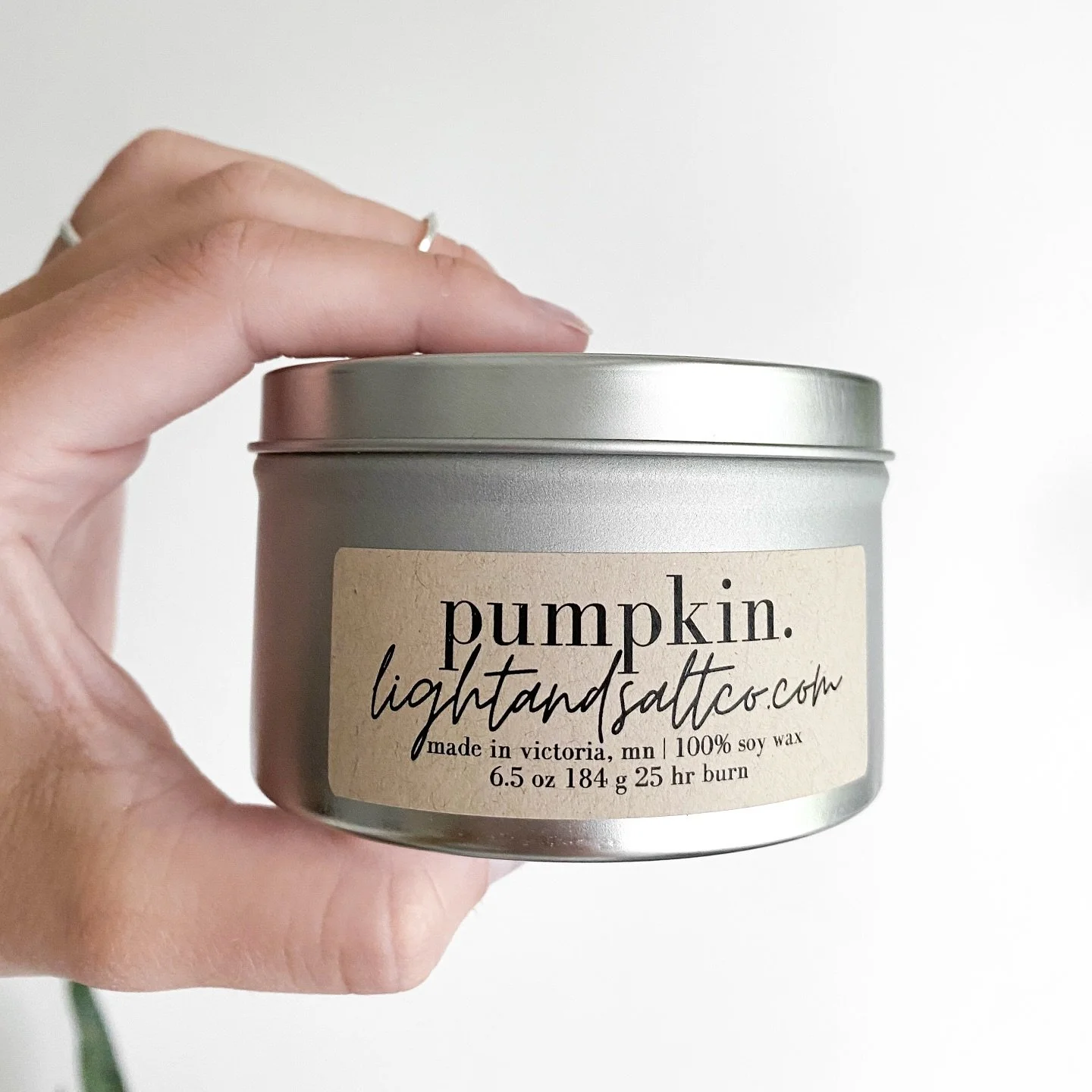 Fall scents are BACK! And you must get your hands on them.

autumn - notes of apple, spice, pine, berry, cinnamon, citrus, nutmeg, juniper, sage, orange, evergreen, cedar, fir 

pumpkin - notes of natural pumpkin, cinnamon, clove, spice, ginger, and 