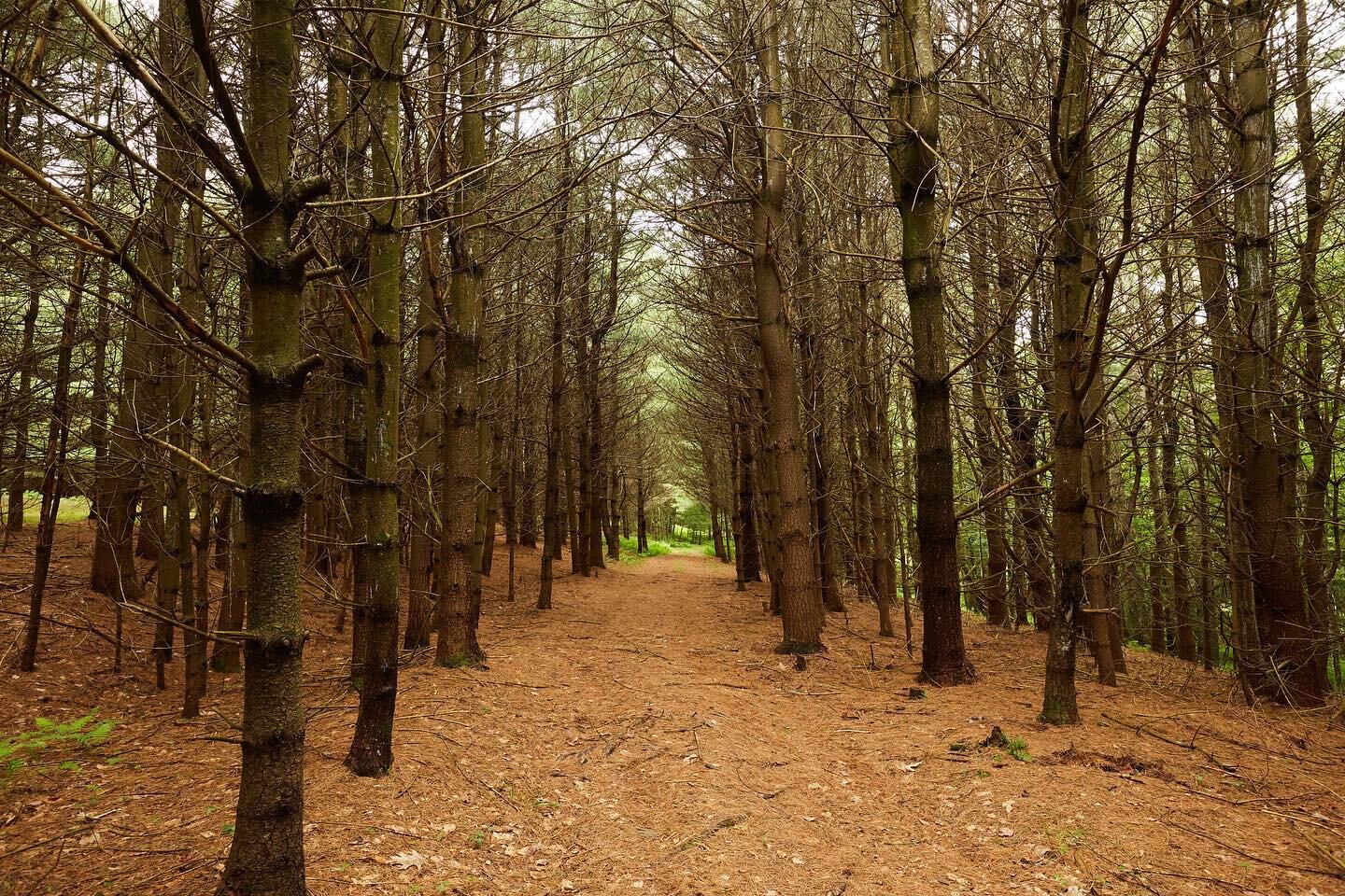 57 acres of Catskill Mountain beauty. Trails for hiking or ATV riding, beautiful open fields for relaxing and enjoying nature.