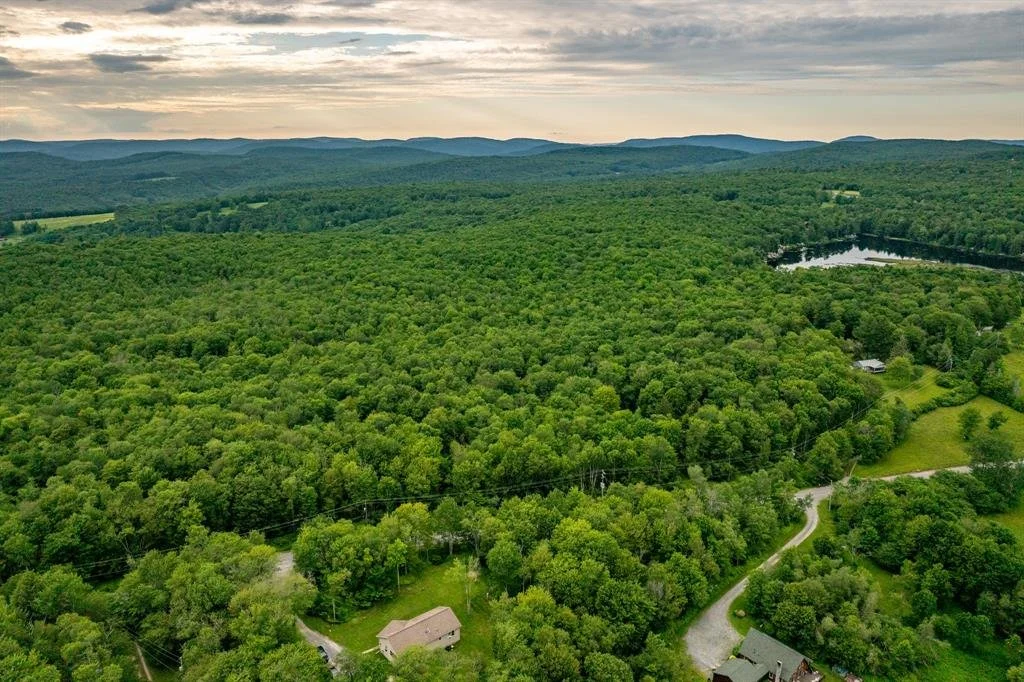 353 White Roe Lake Road Property, Livingston Manor | $450,000