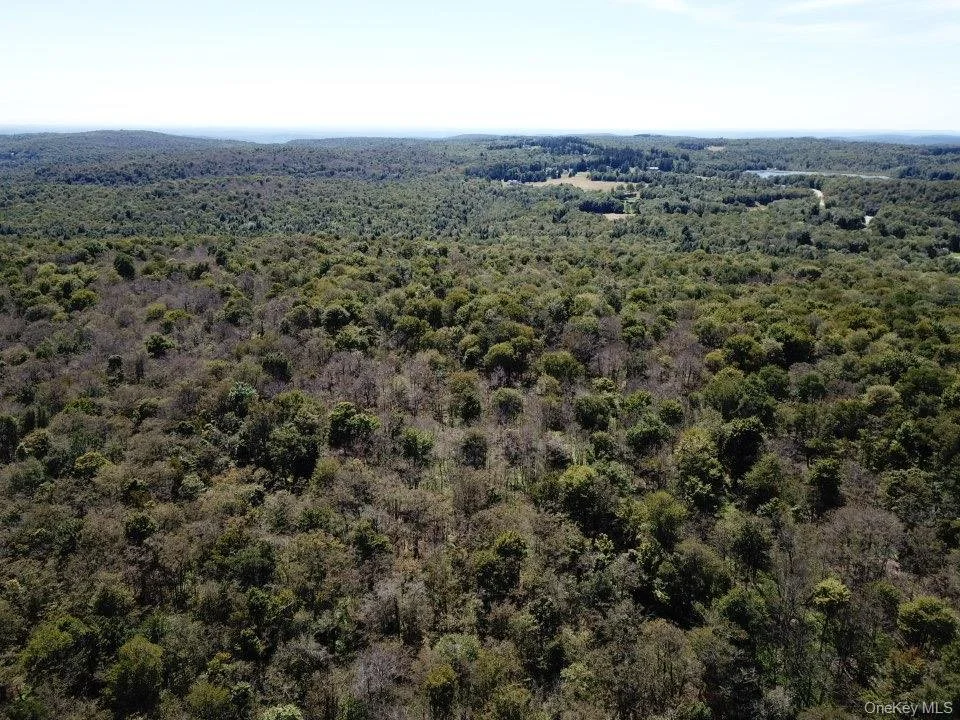 GetMedia - 2025-08-21T095154.929.jpeg