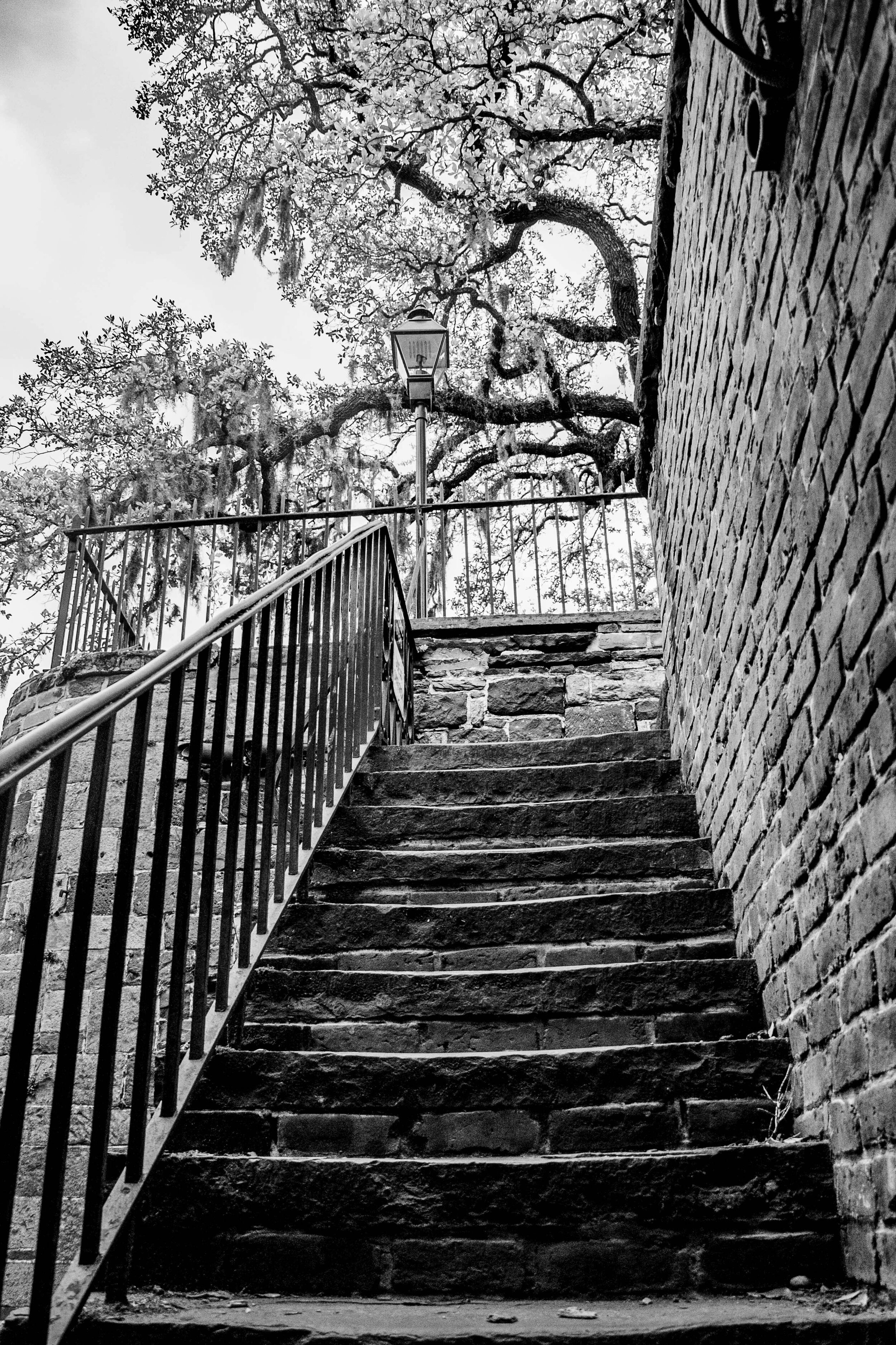 AEA07CB8-1A65-4303-8808-A3DB3E8170E9.jpeg