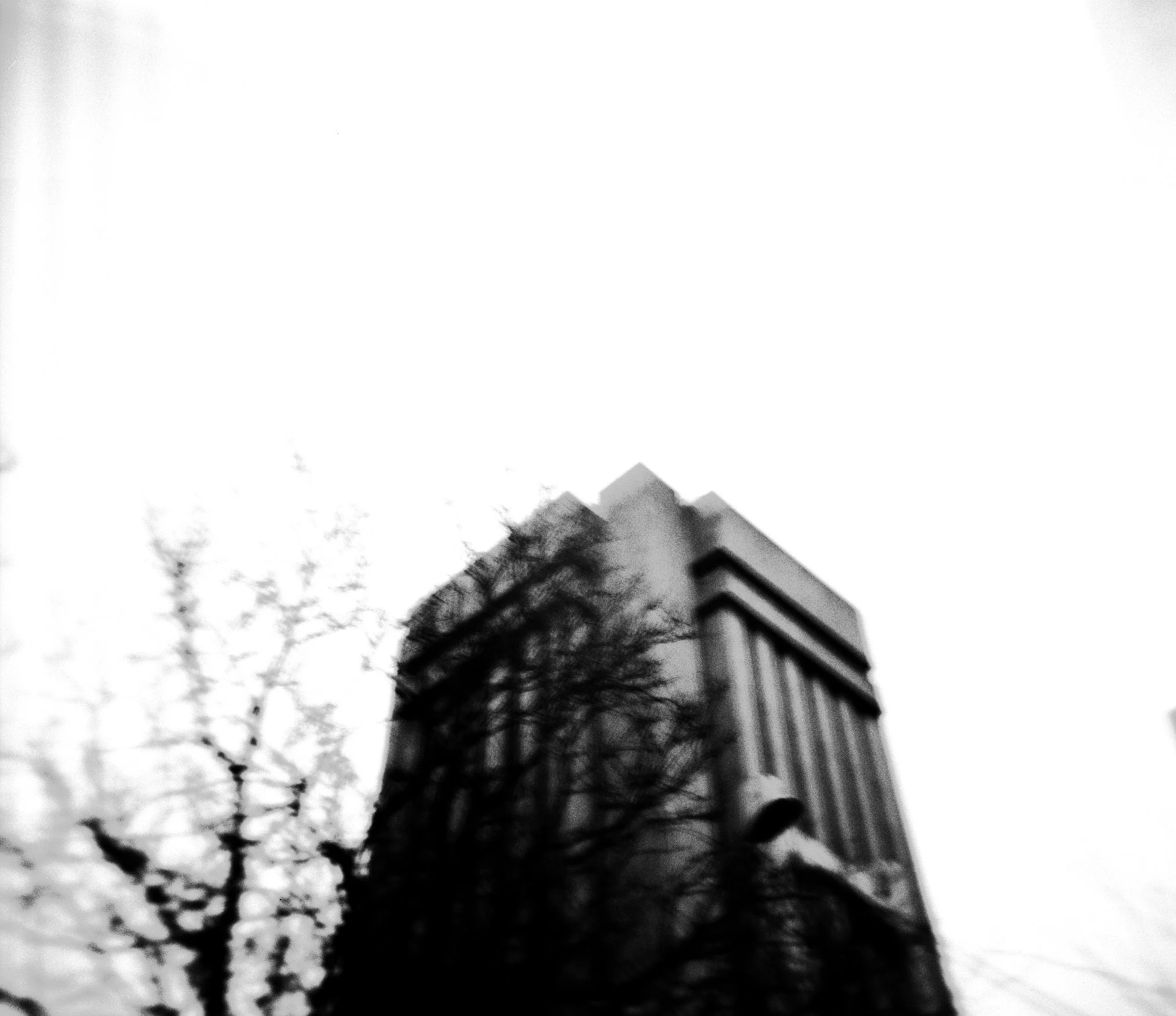   in the dead of winter — when this picture was shot – leafless trees make for a unique way to see the weiss research building  