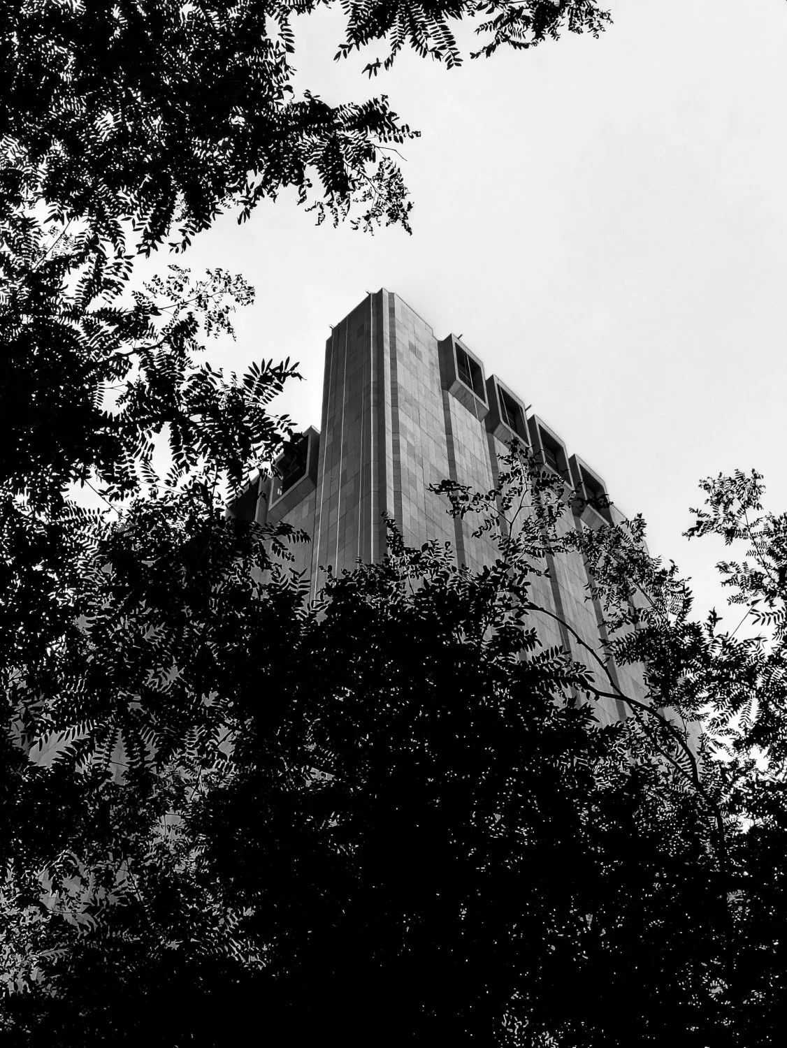 new york's architecture anti-hero