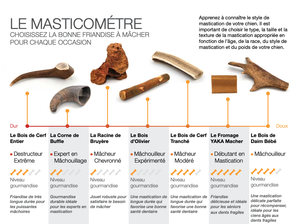 Par Gourmet 4 Pattes