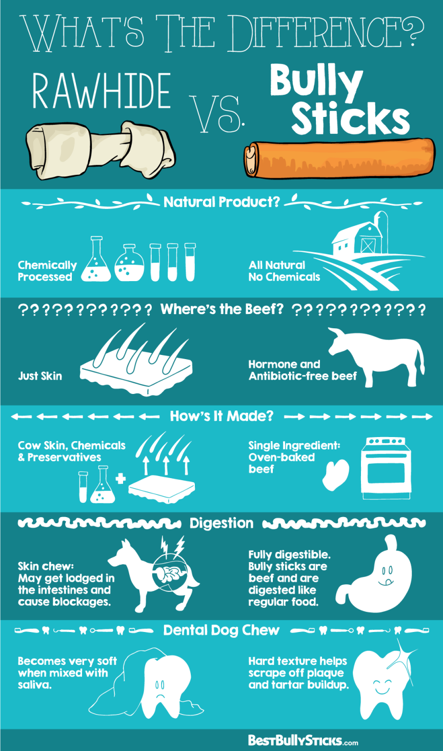 Rawhide Dog Chews_ How Safe are They_.png