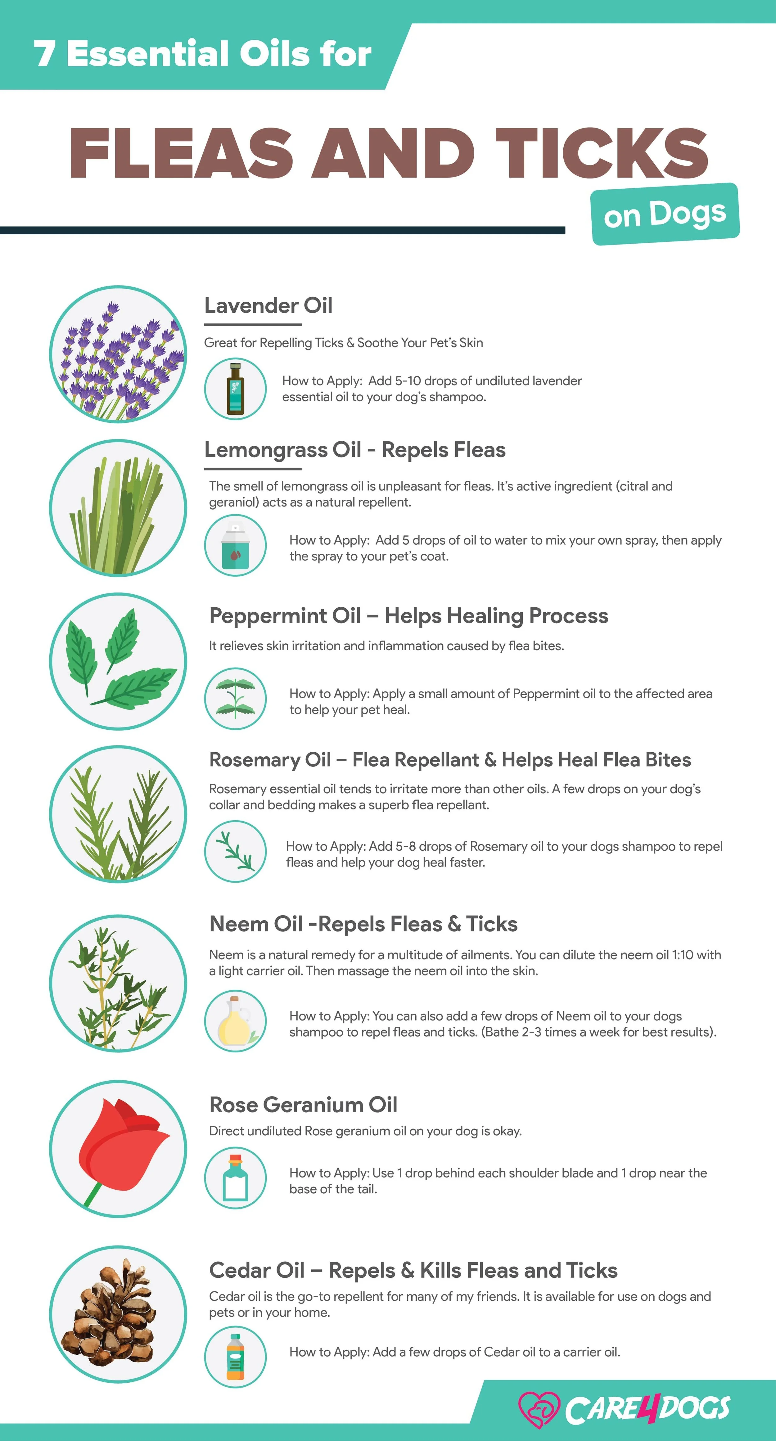 Top Safest and Most Toxic Essential Oils for Fleas and Ticks on Dogs.jpeg