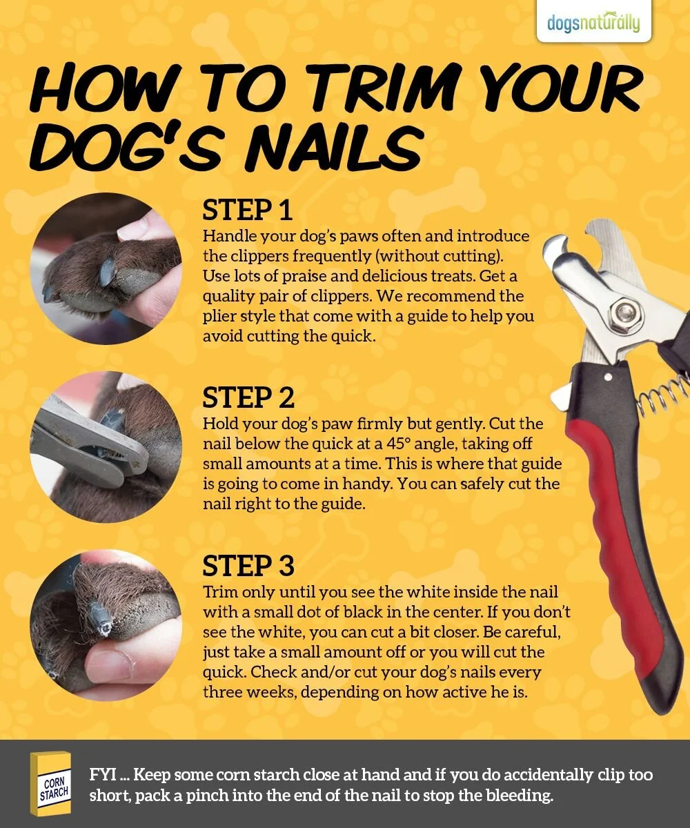 A Stress-Free Way For Trimming Your Dog’s Toenails _ Dogs Naturally.jpeg