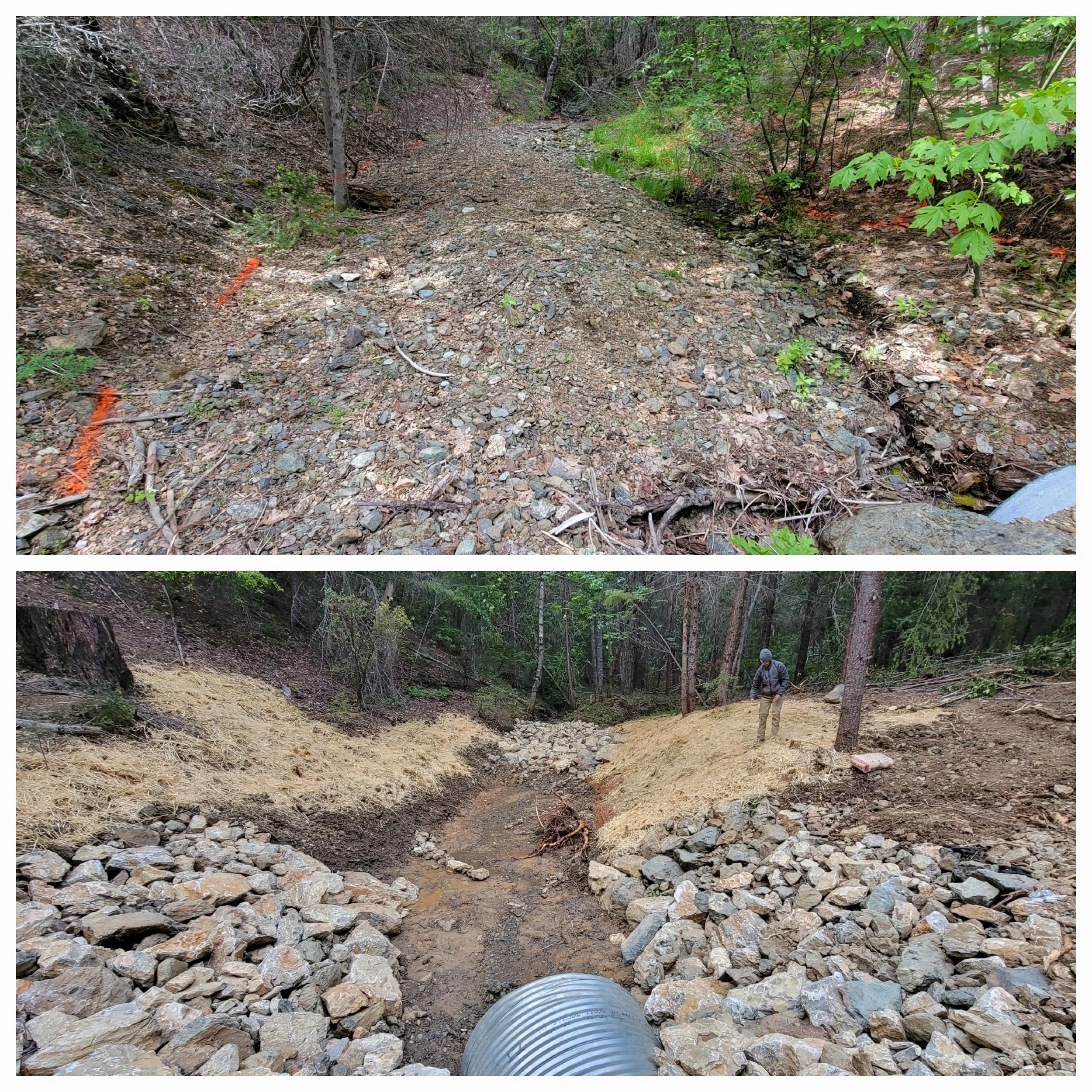 Before and after stream restoration with culvert and rocks in forested area