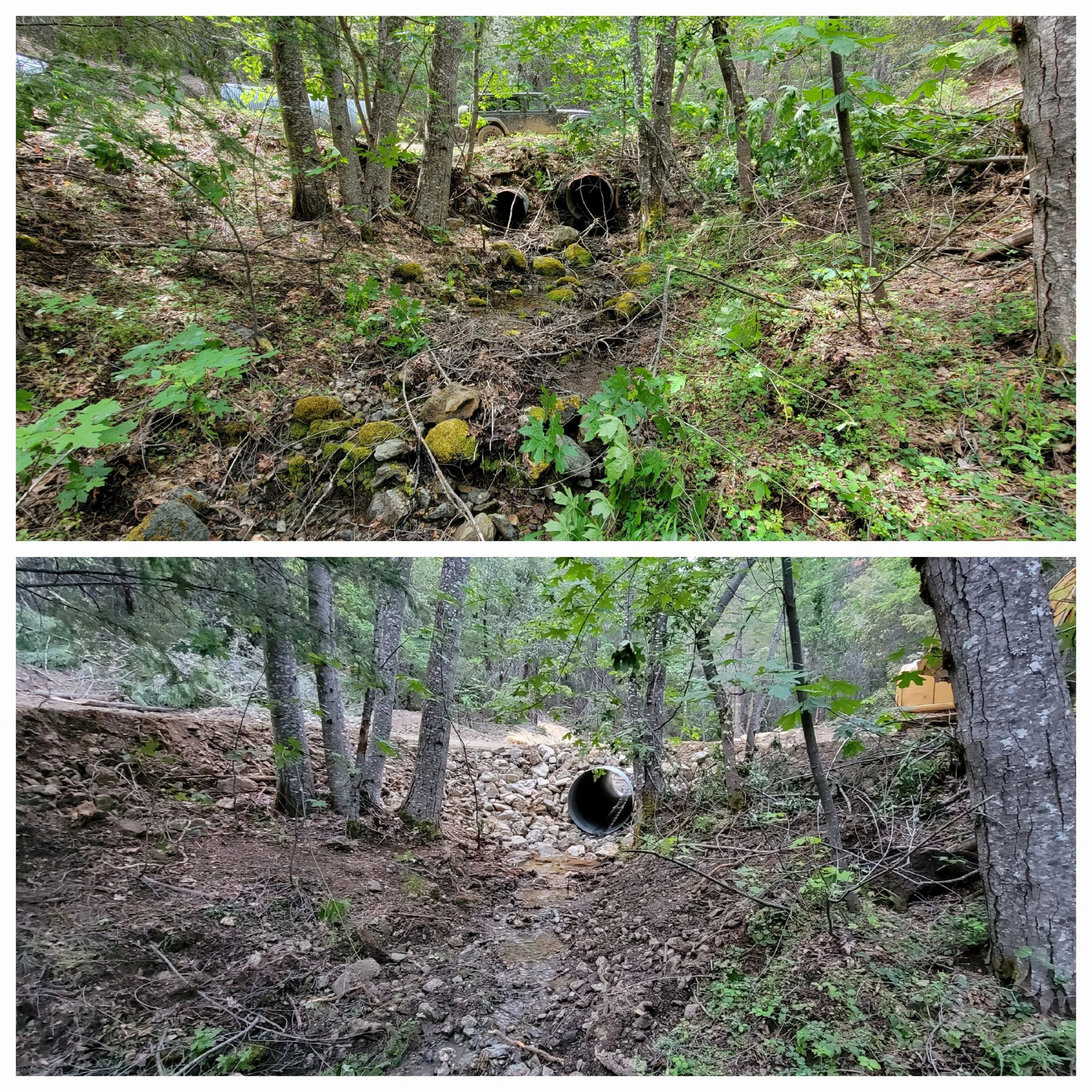 Before and after of a culvert replacement in a wooded area, showing improved drainage and structure.